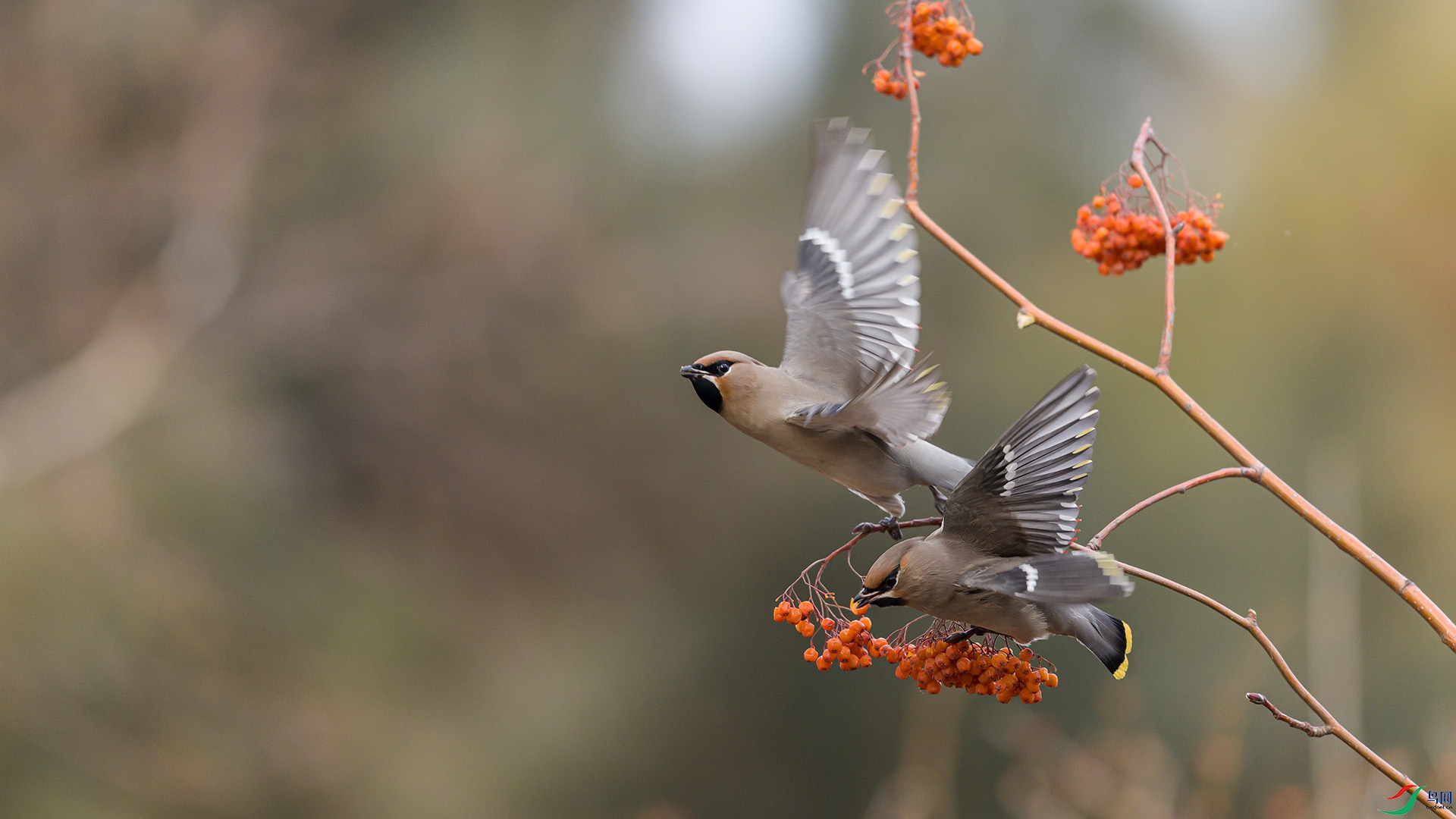 051A9148 ����n.jpg