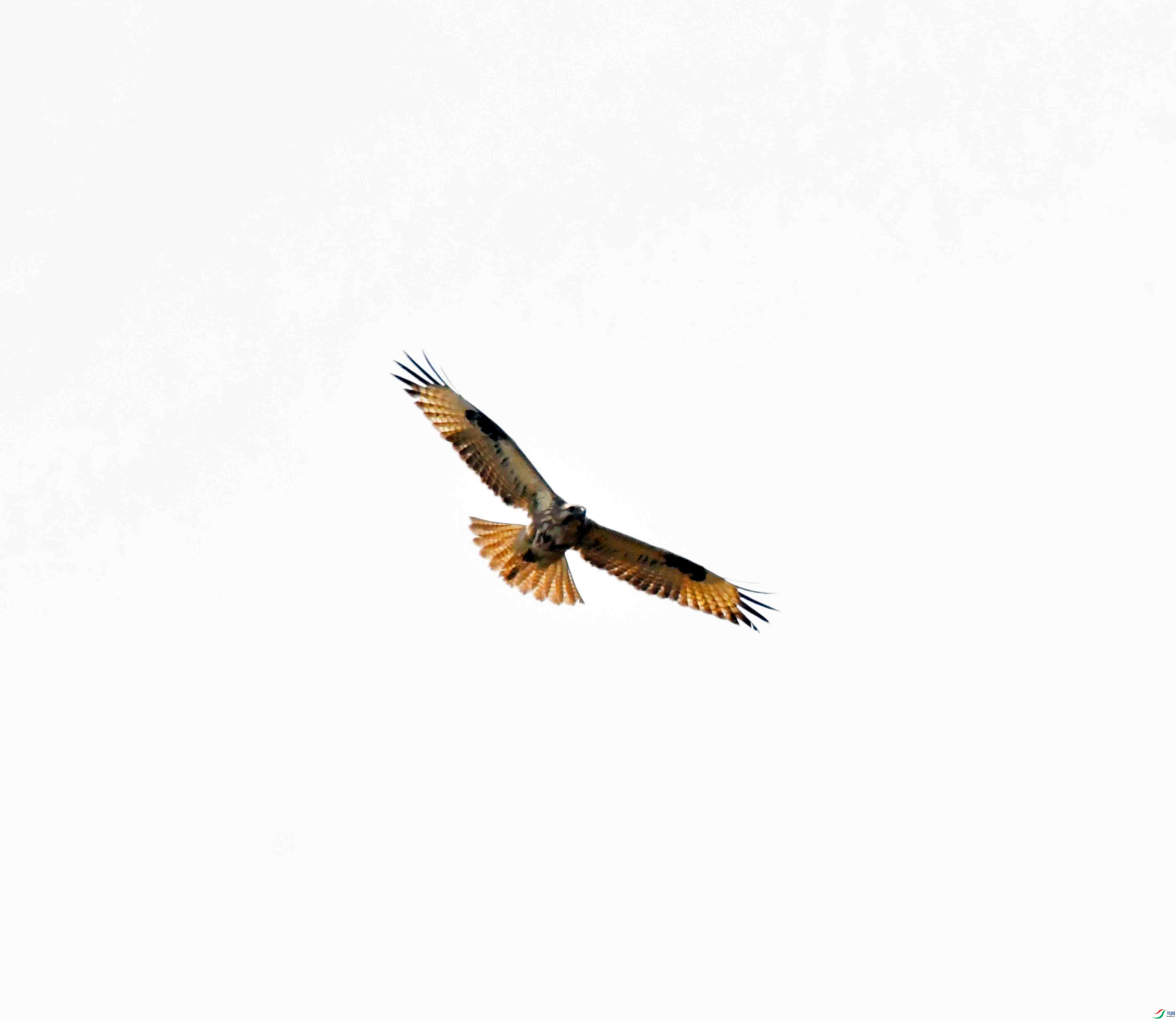 DSC_1691.JPG
