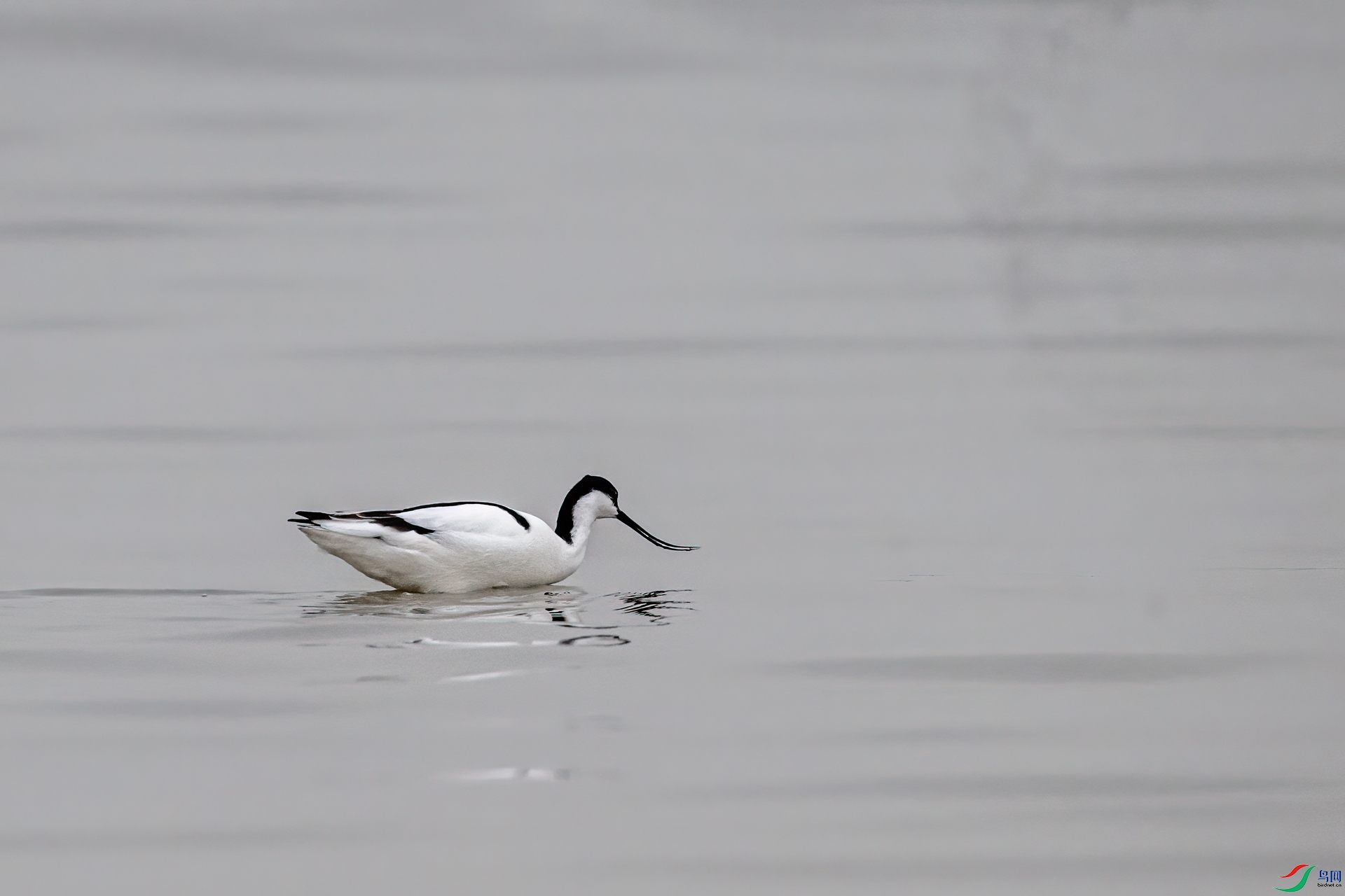 DSC_1145-11.jpg