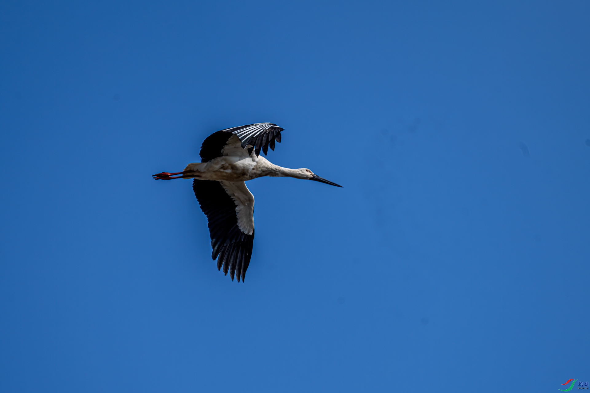 DSC_6938-11.jpg