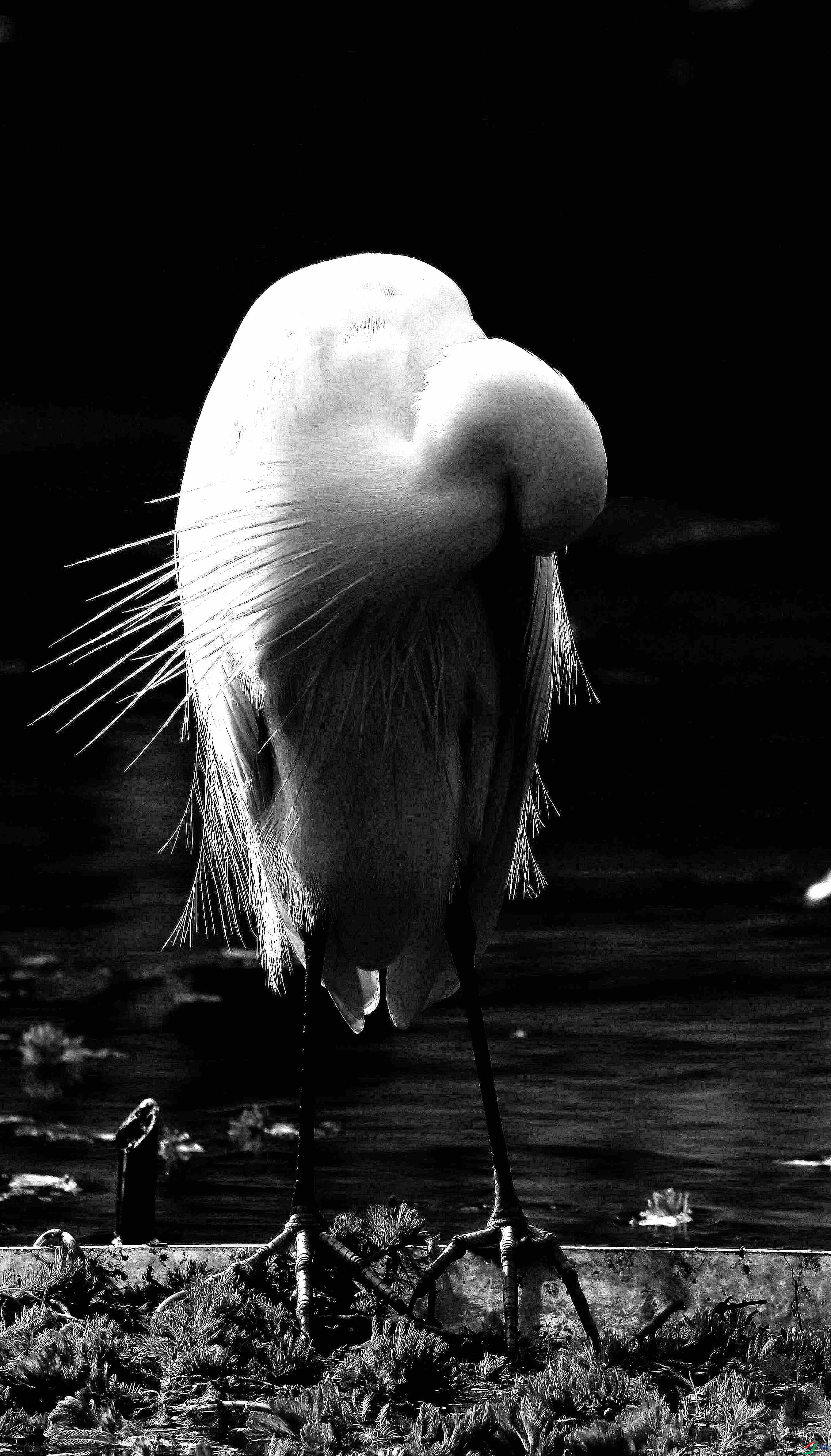 DSC_0269.jpg