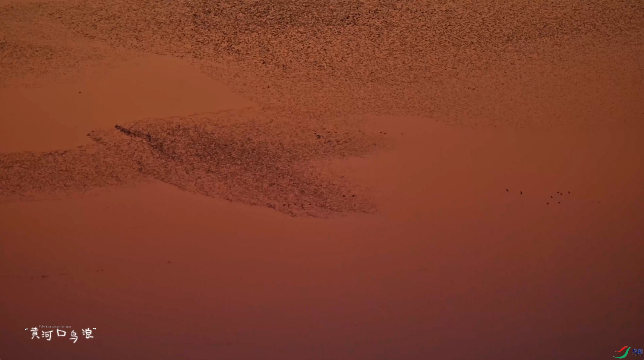 ɽ�� Ӫ�� �ƺӿڻƻ�����.jpg