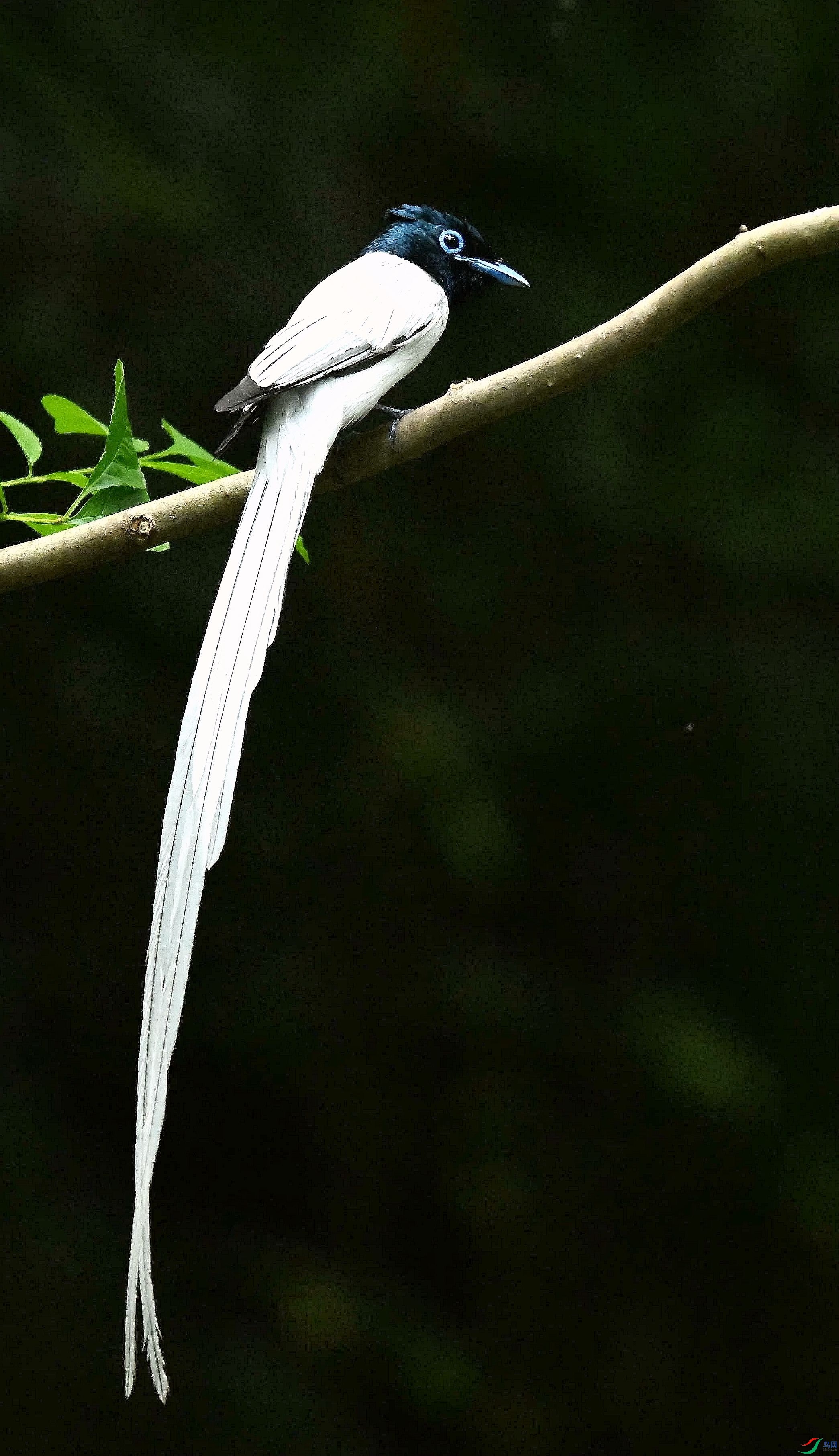 DSC_4471_����.jpg