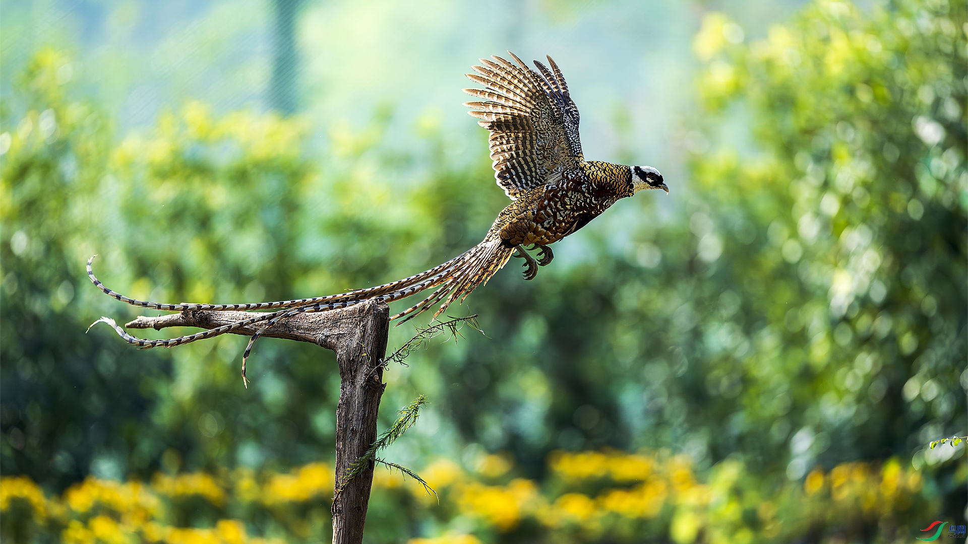 _DSC2367 ���� 2.jpg