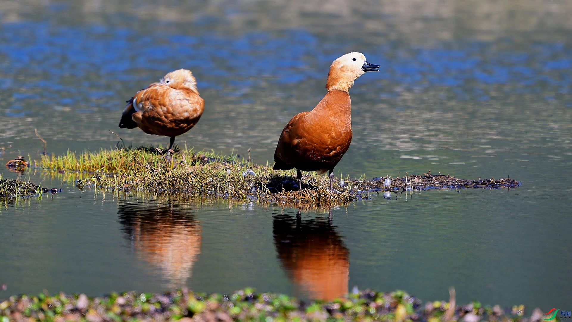 11��27�� (2)-���� ����.jpg