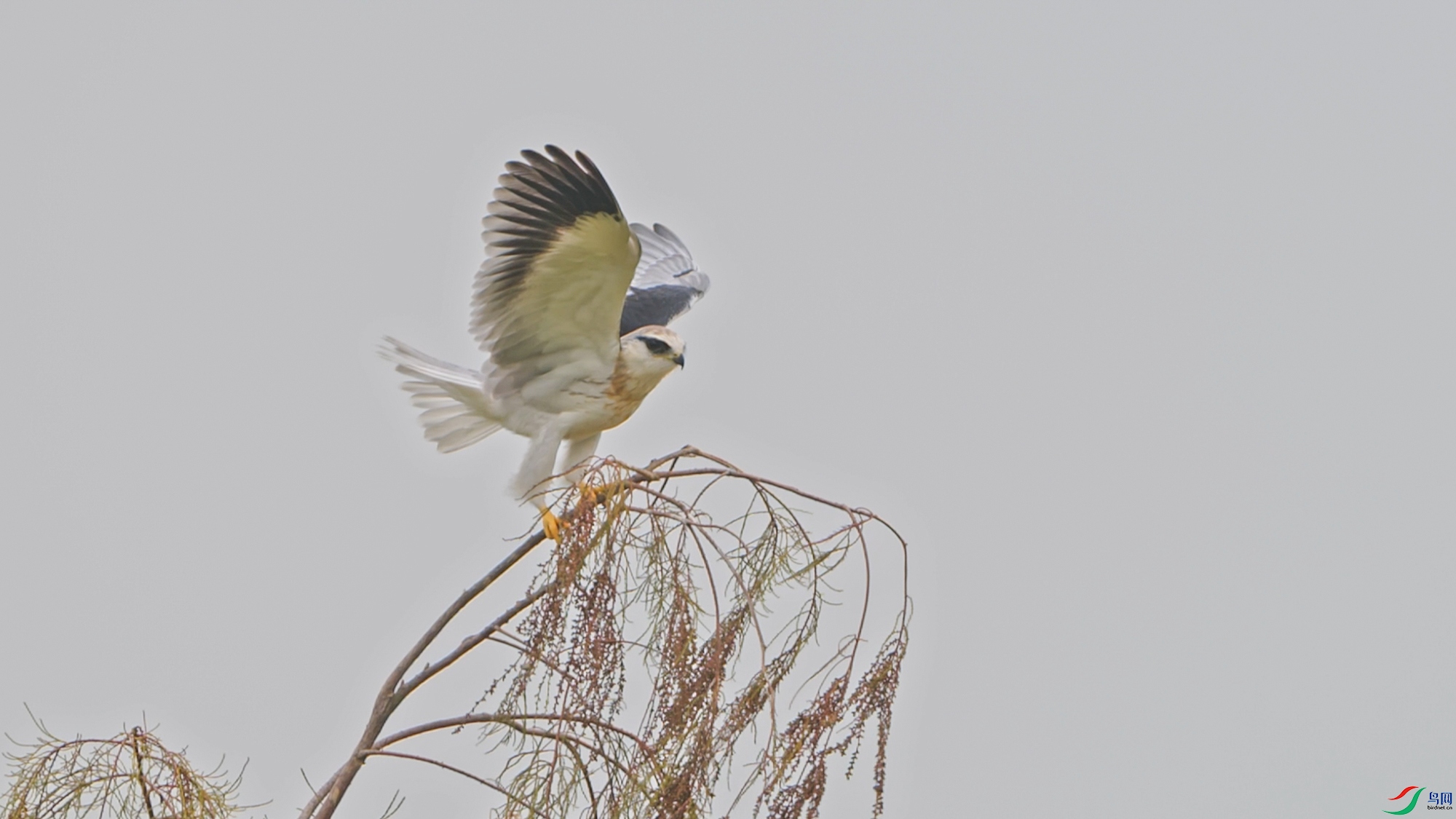 DSC_8315_1.1.jpg