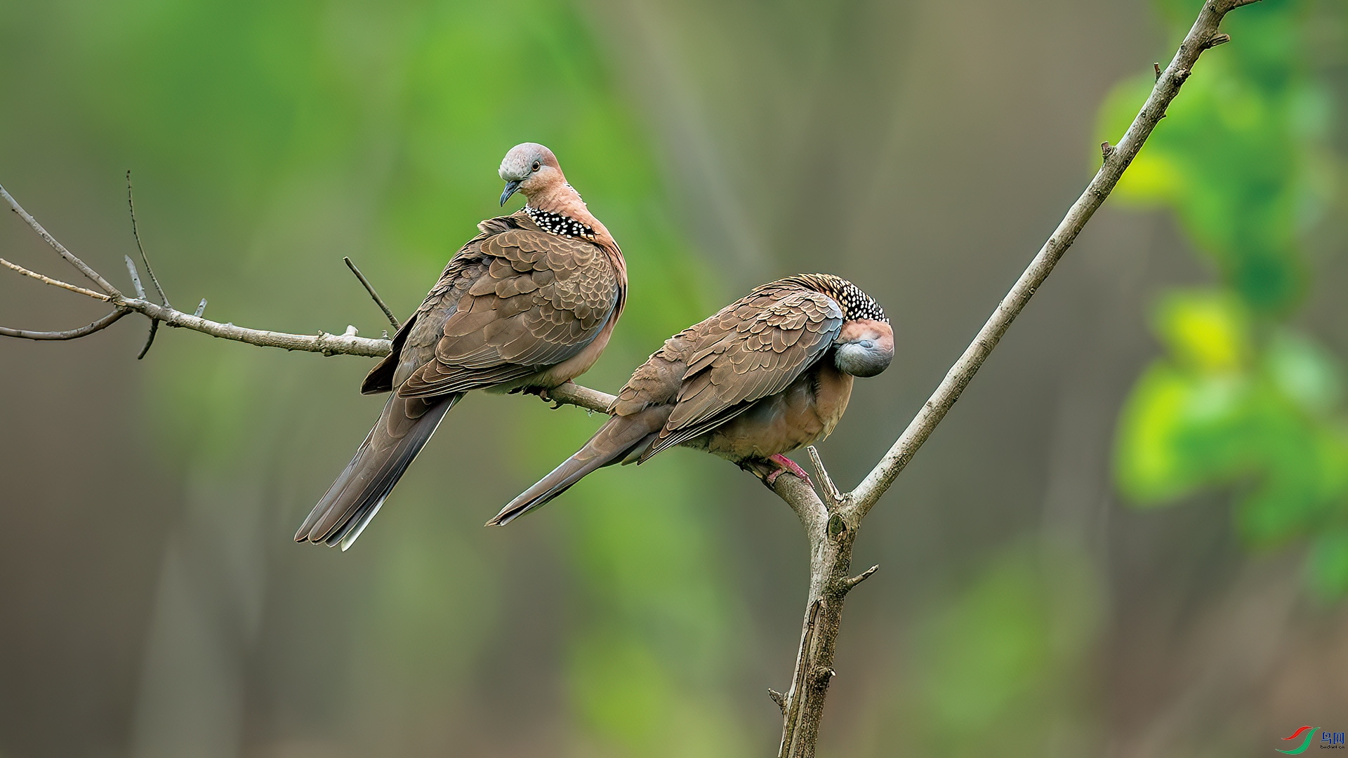 DSC_2878-����ǿ-NR.jpg