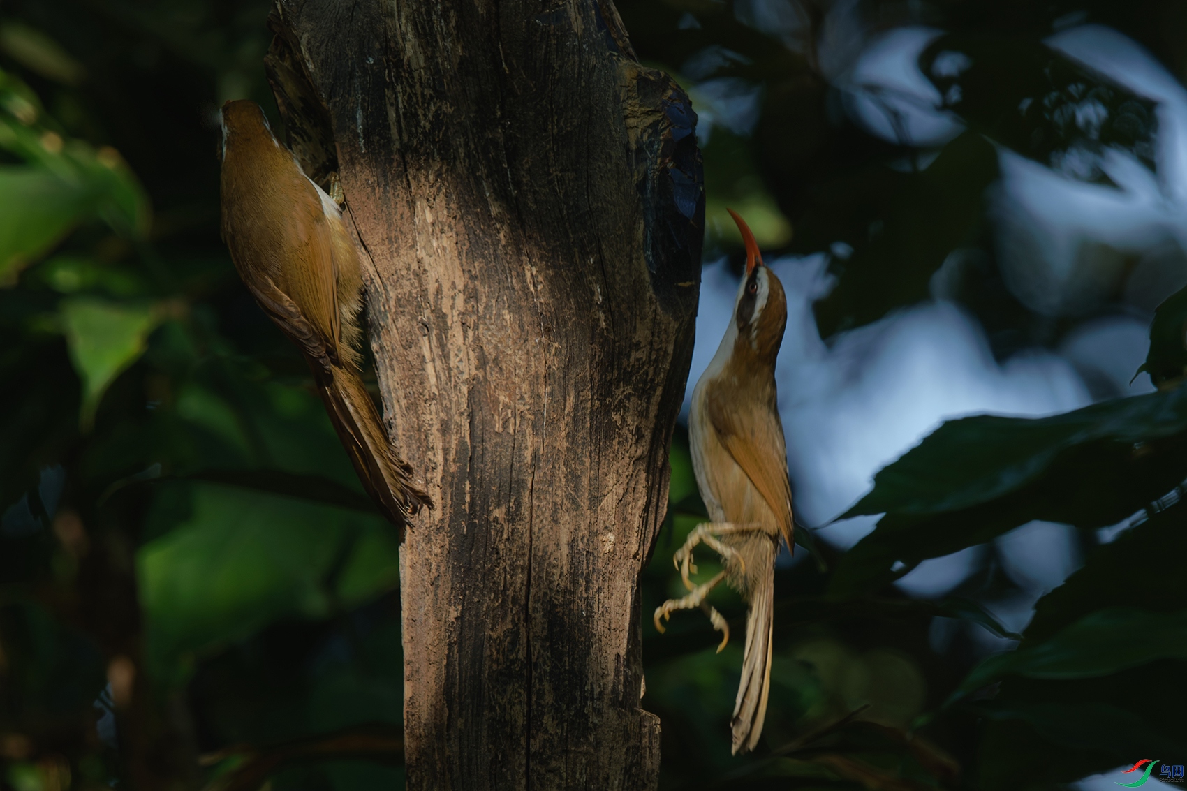 DSC_5000_DxO_DxOa.jpg