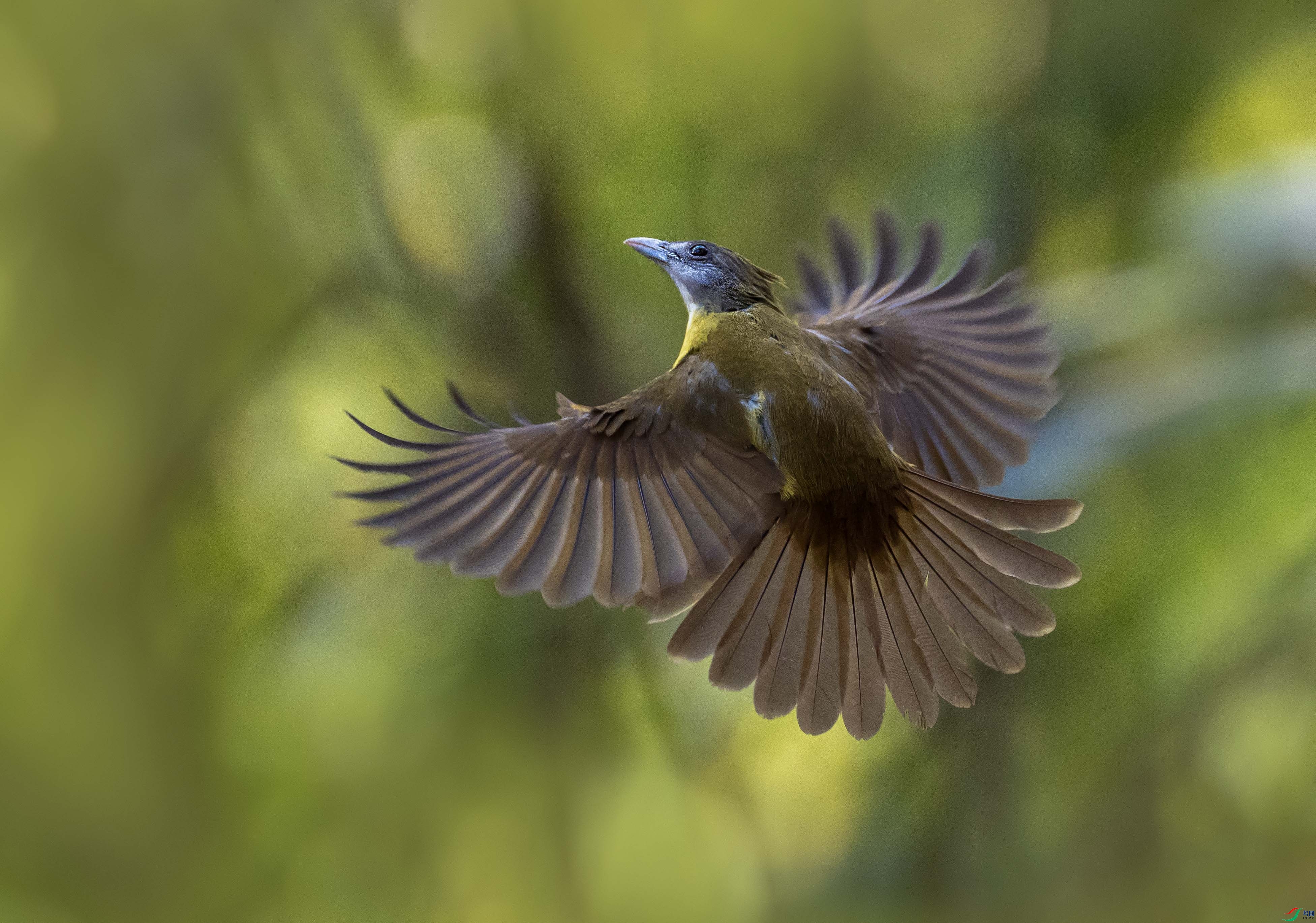 1-xt�Ƹ�����4L2A4191 ���� 2.jpg