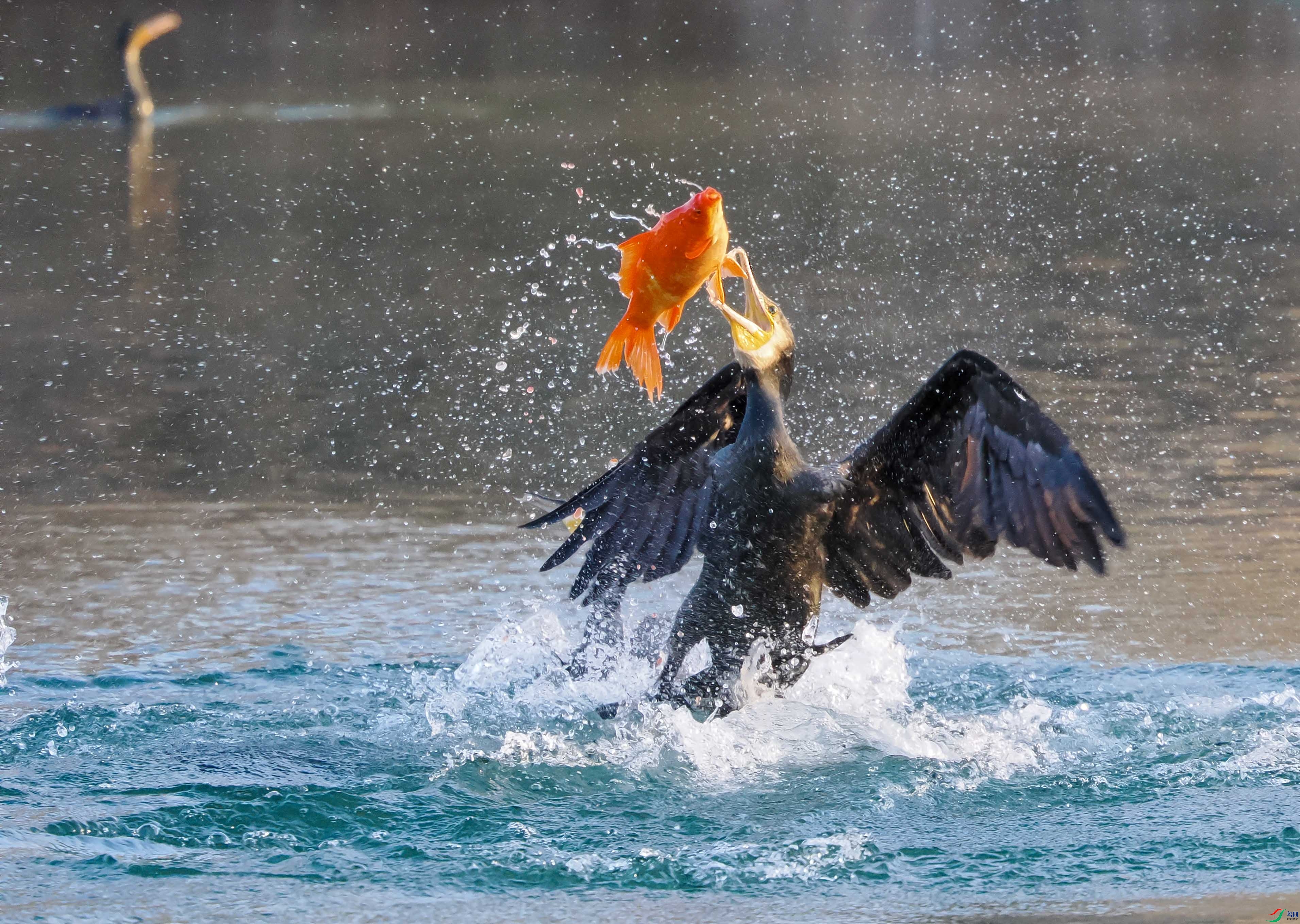 1-xtP2090422 ����.jpg