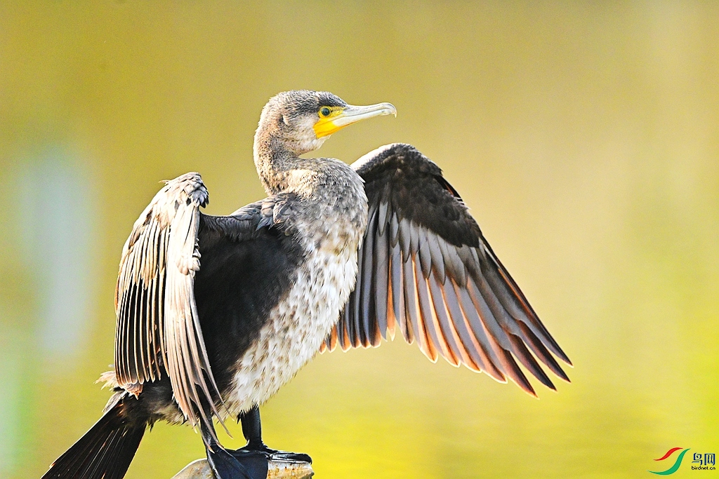 DSC_8666.JPG
