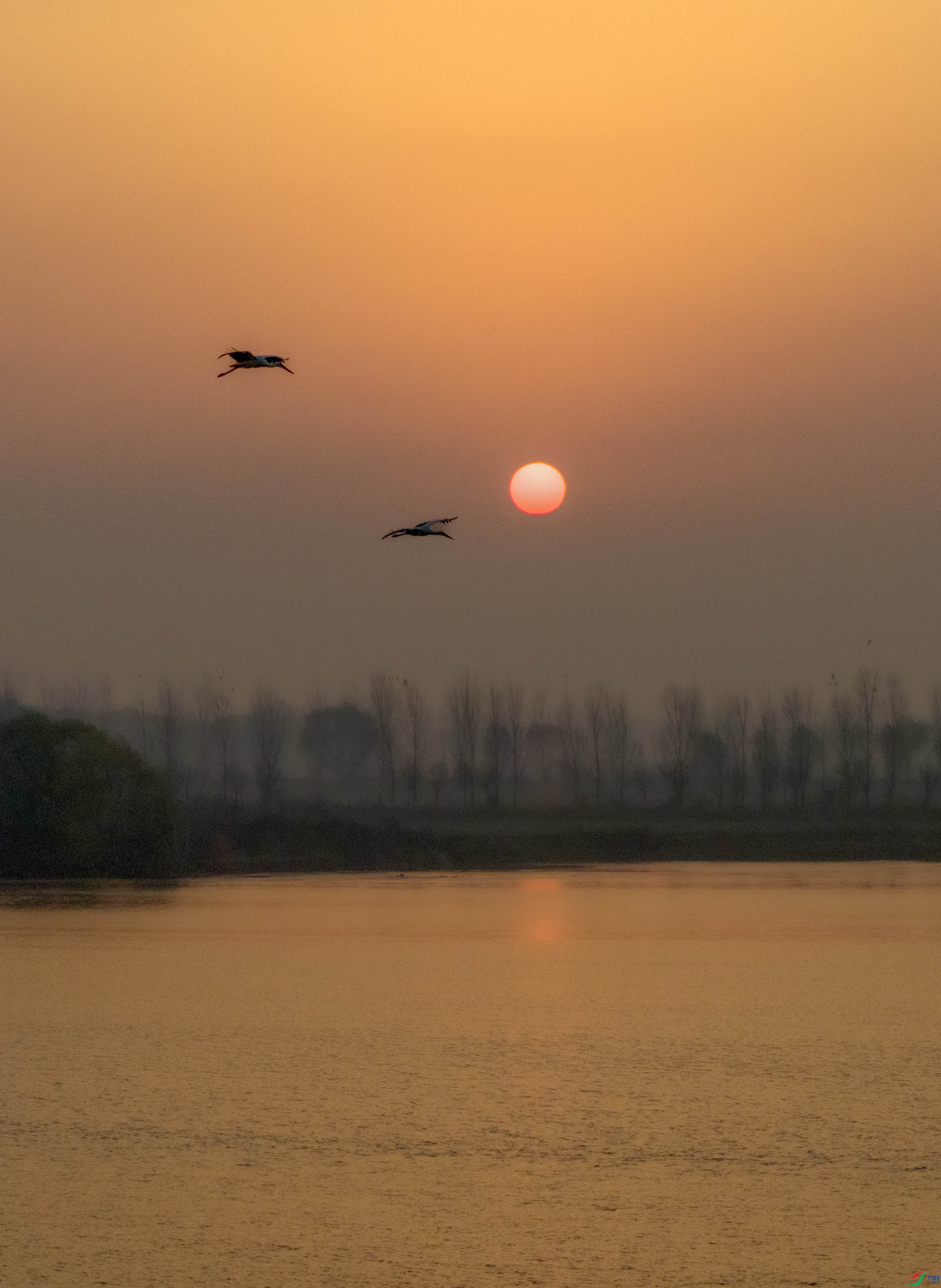 DJI_20251130071746_0218_D ����.jpg