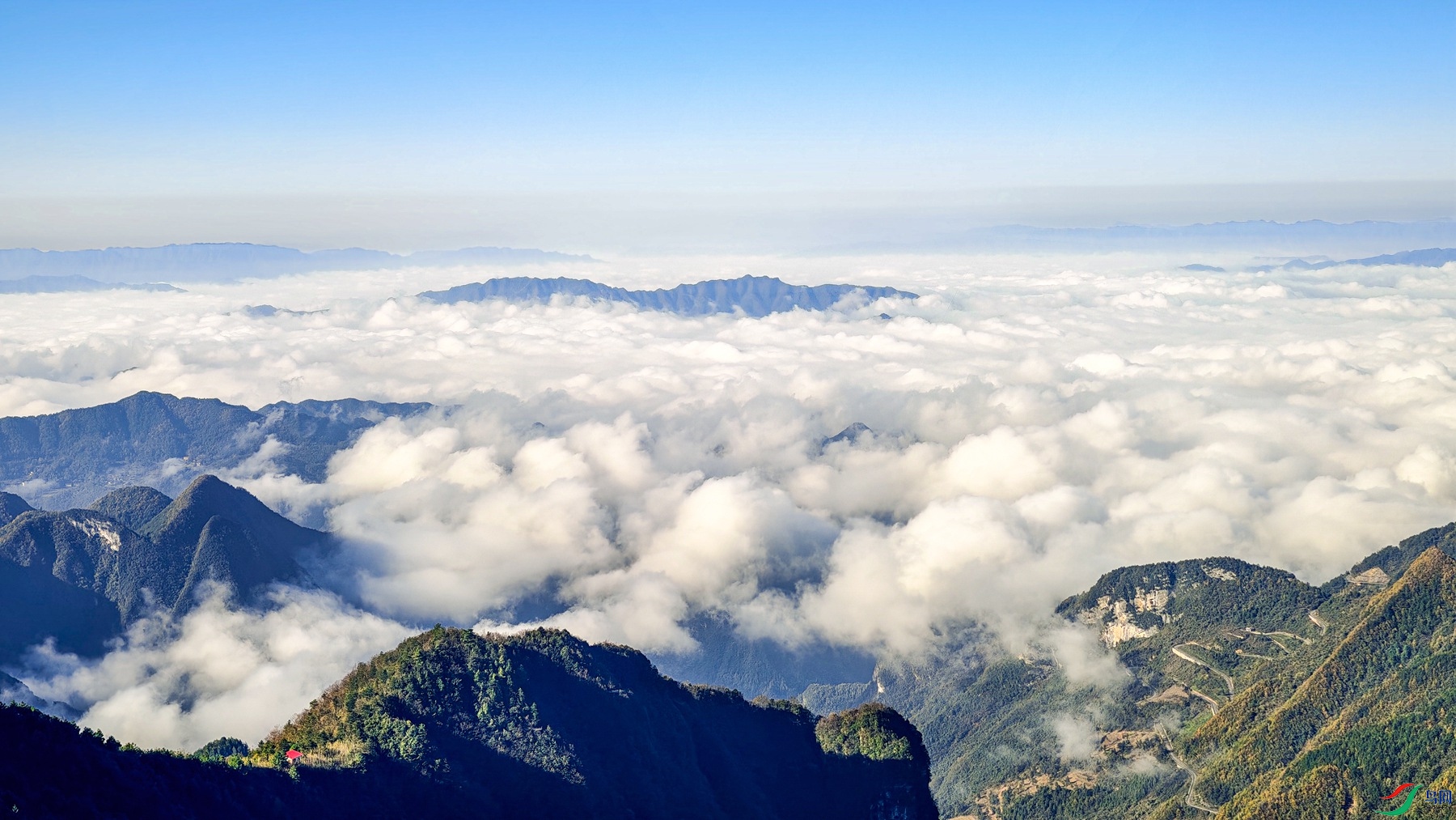 IMG_20251120_094926 - -.jpg