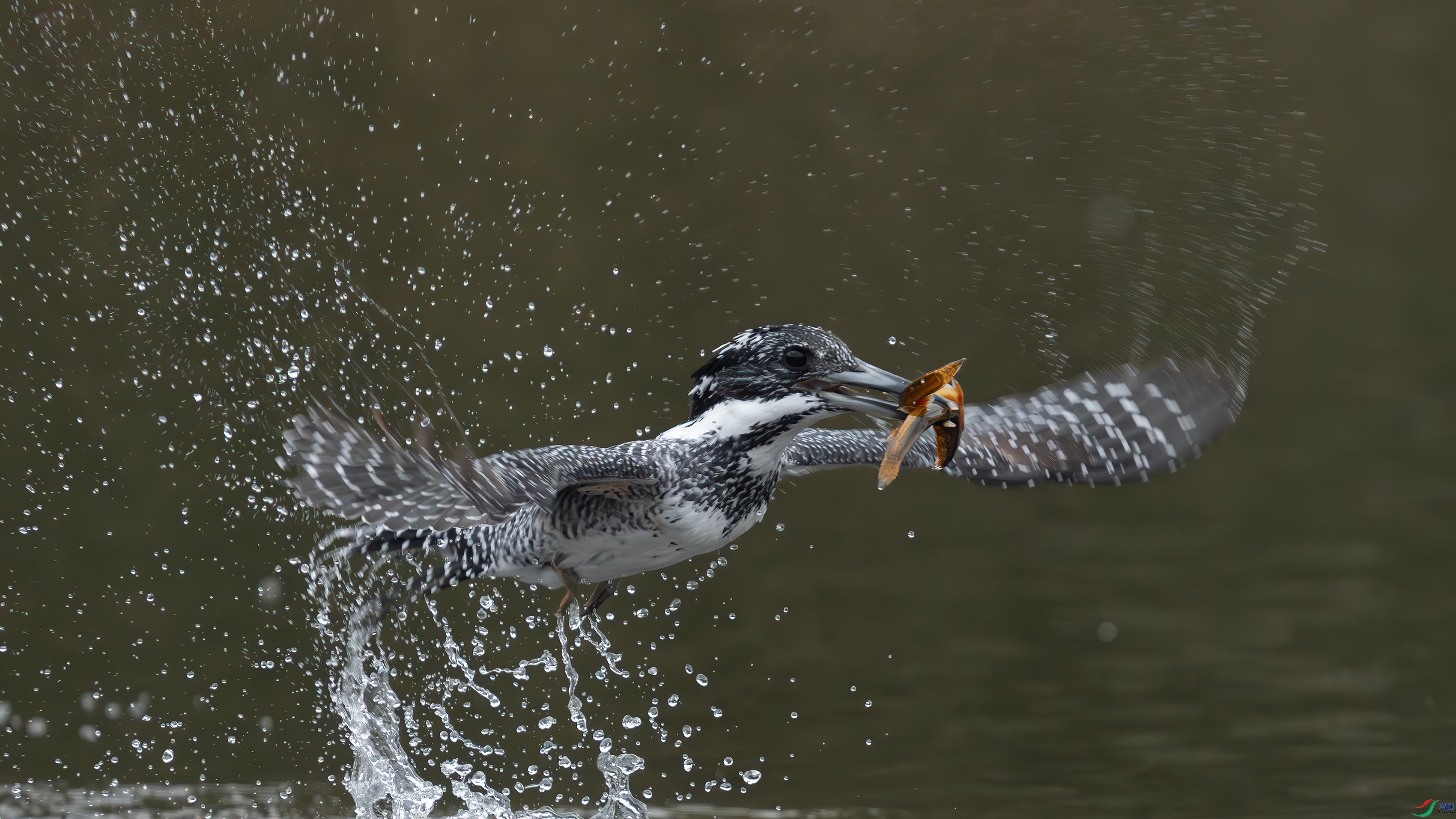 _DSC7489 ����.jpg