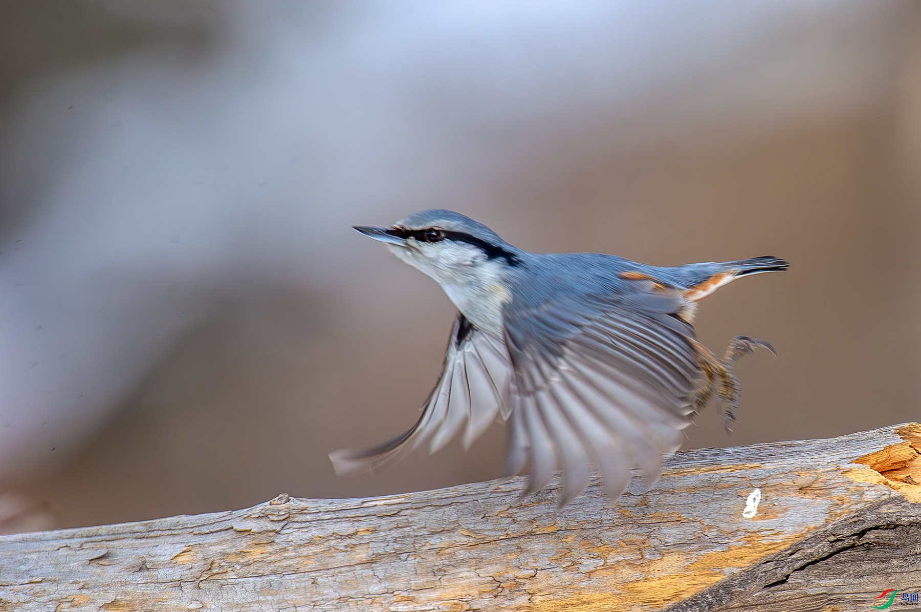 DS1_4564.jpg