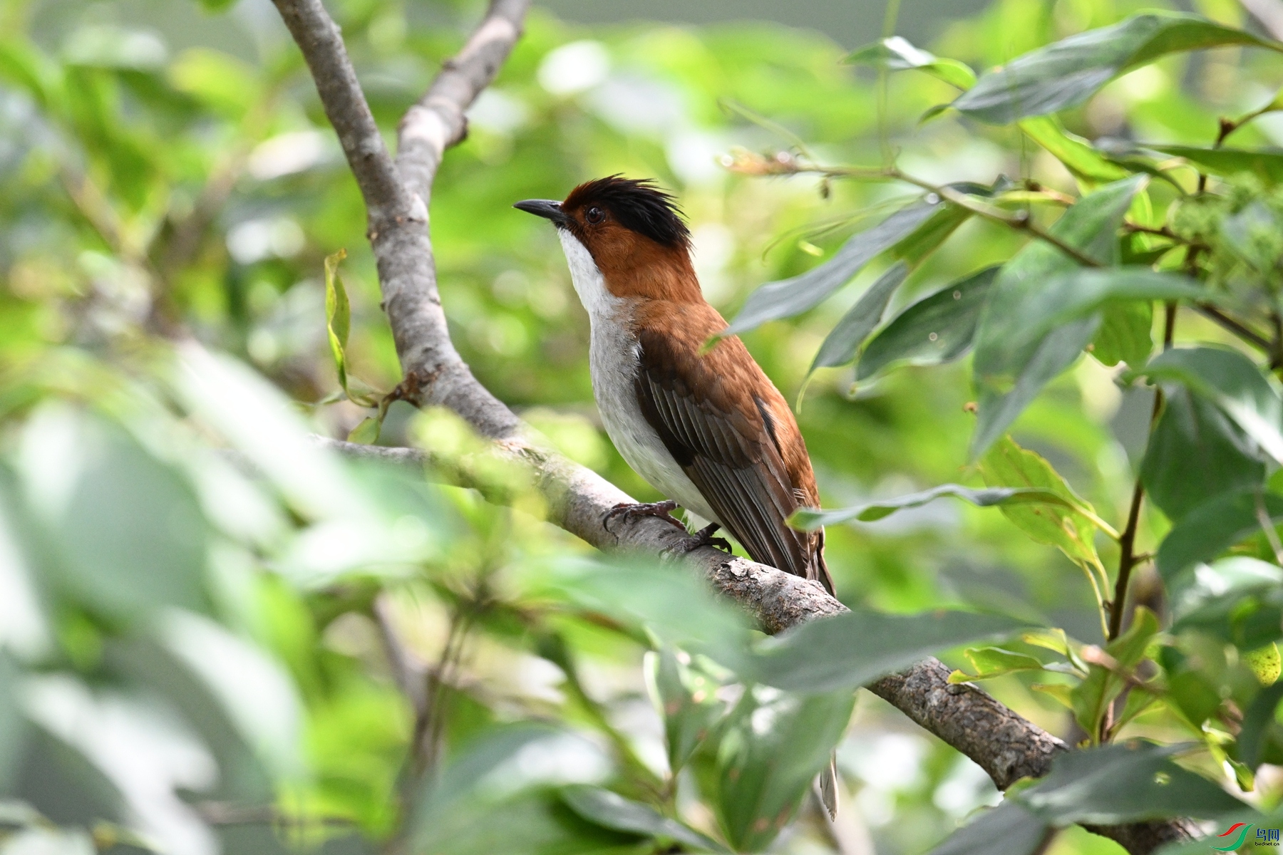 DSC_9586.JPG