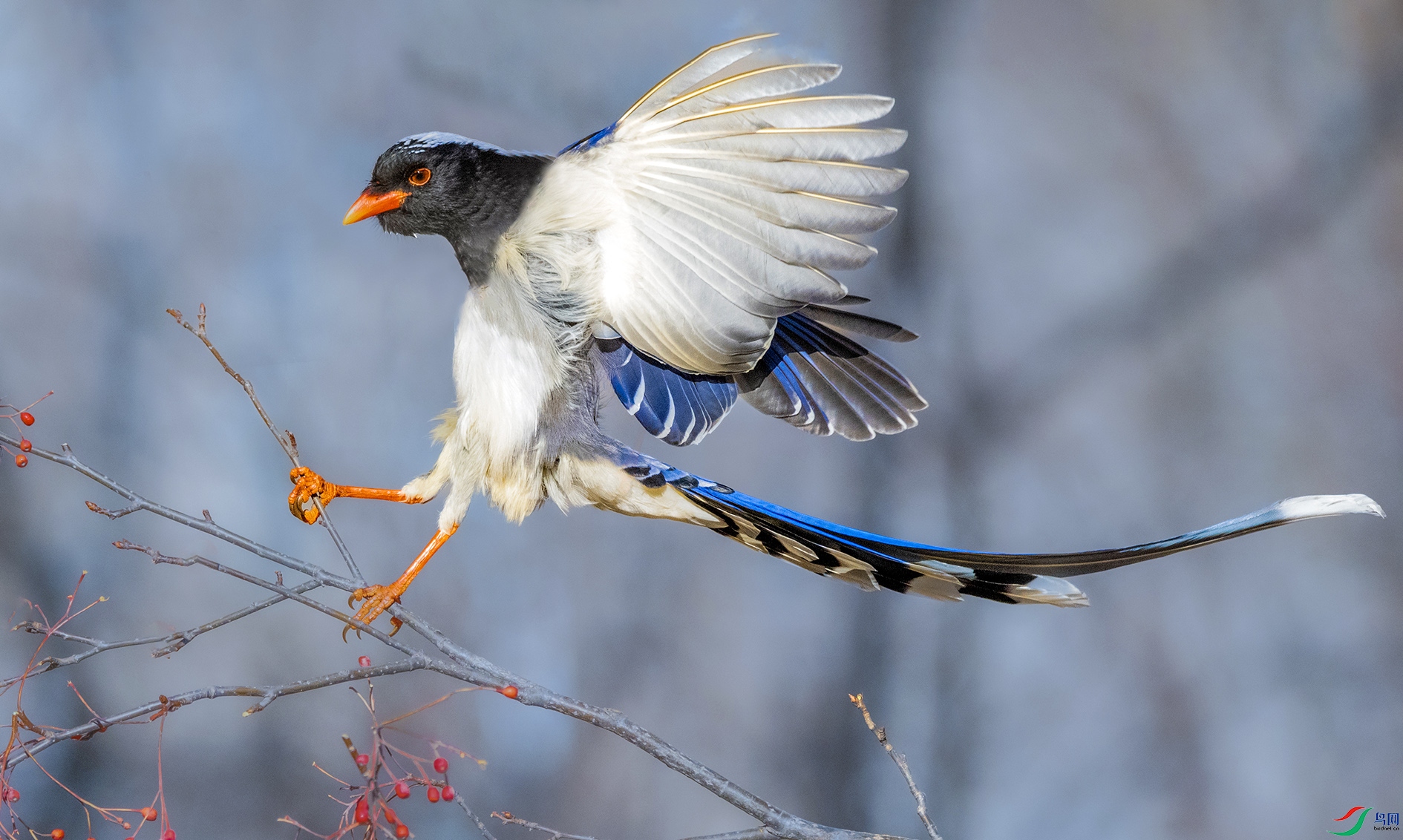 DSC_8831 ���� 2.jpg