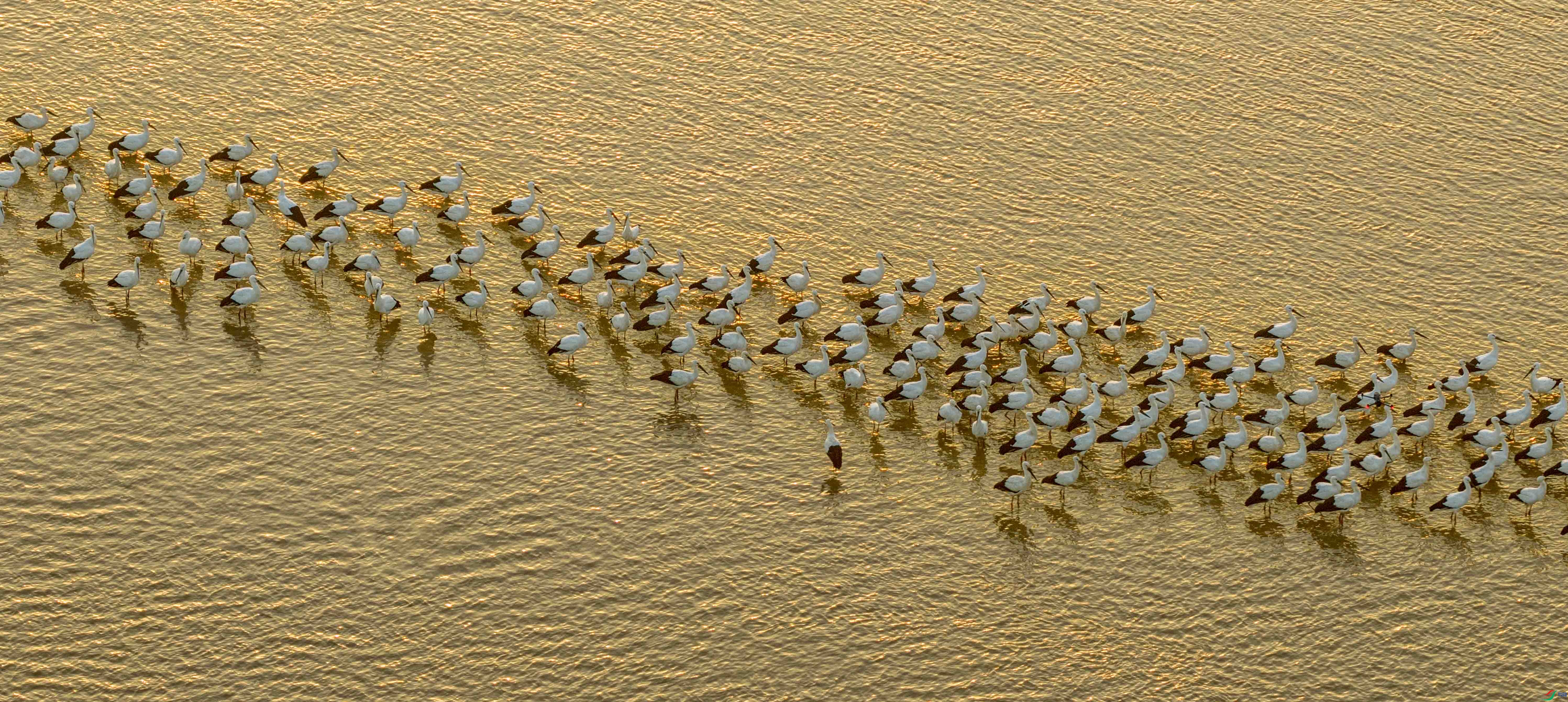 DJI_20251130073730_0423_D ����.jpg
