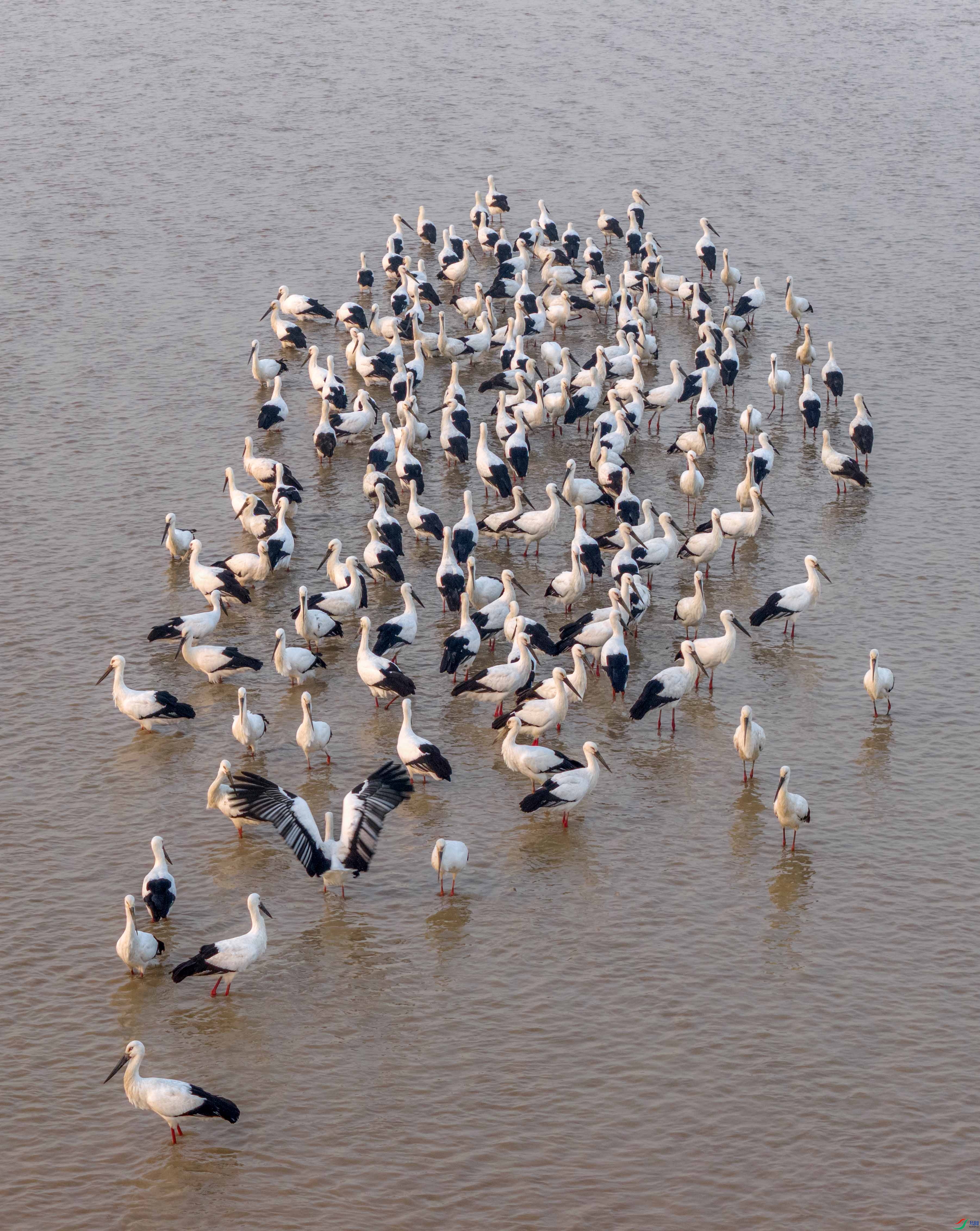 DJI_20251130072703_0359_D ����.jpg
