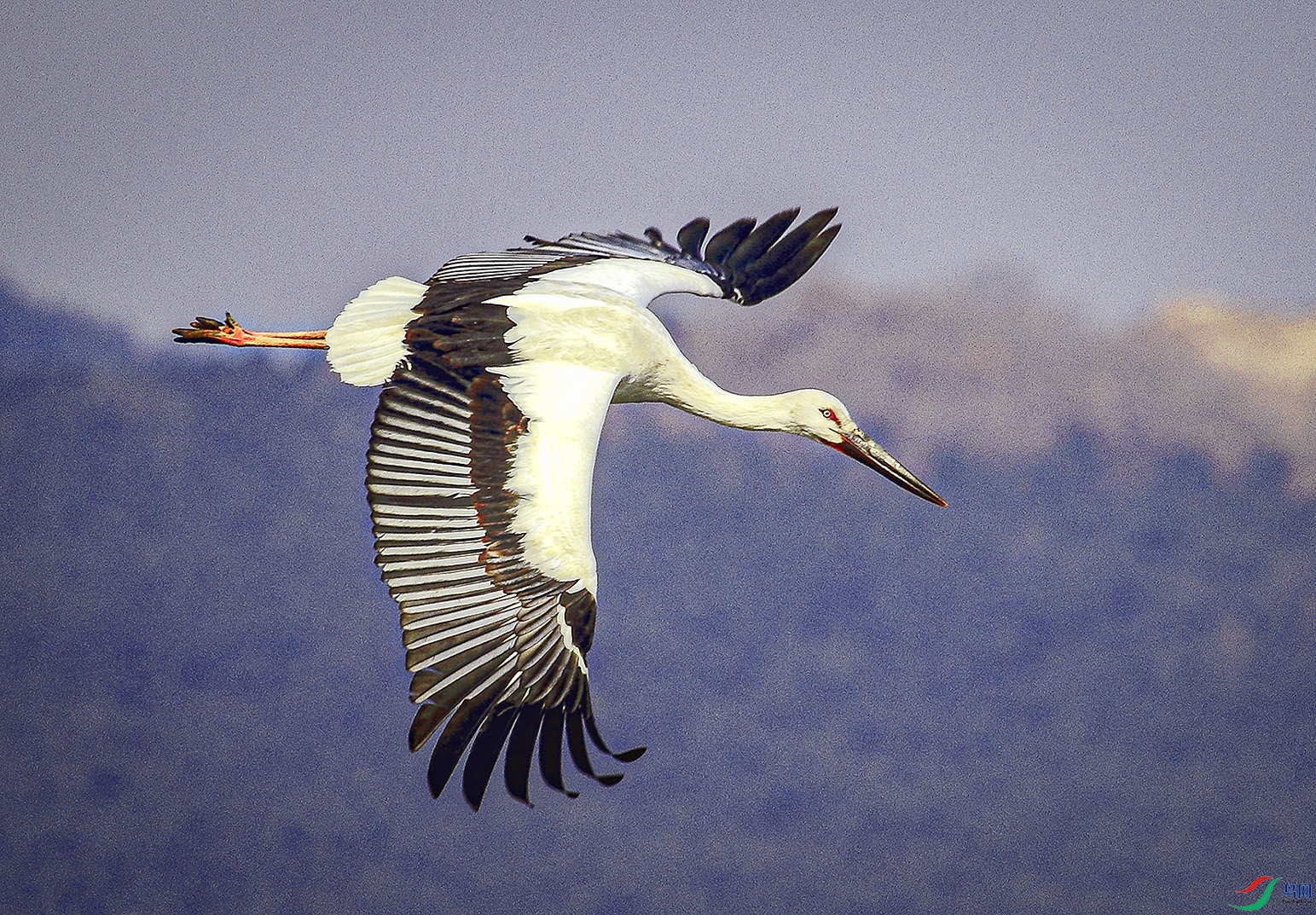 _MG_2685 ���� 4.jpg