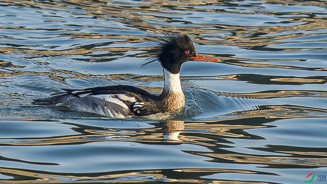 _MG_1707 ���� 2.jpg