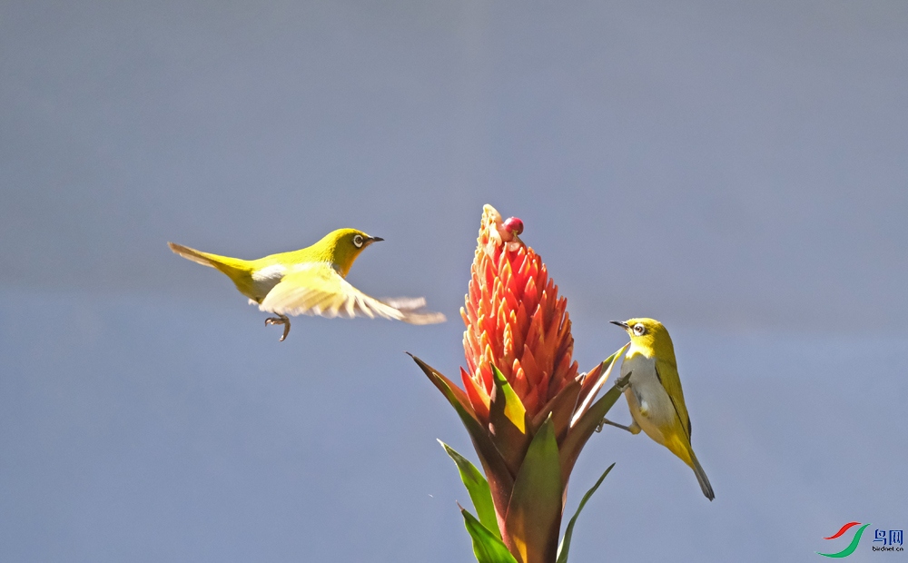 DSCF5088.1.jpg