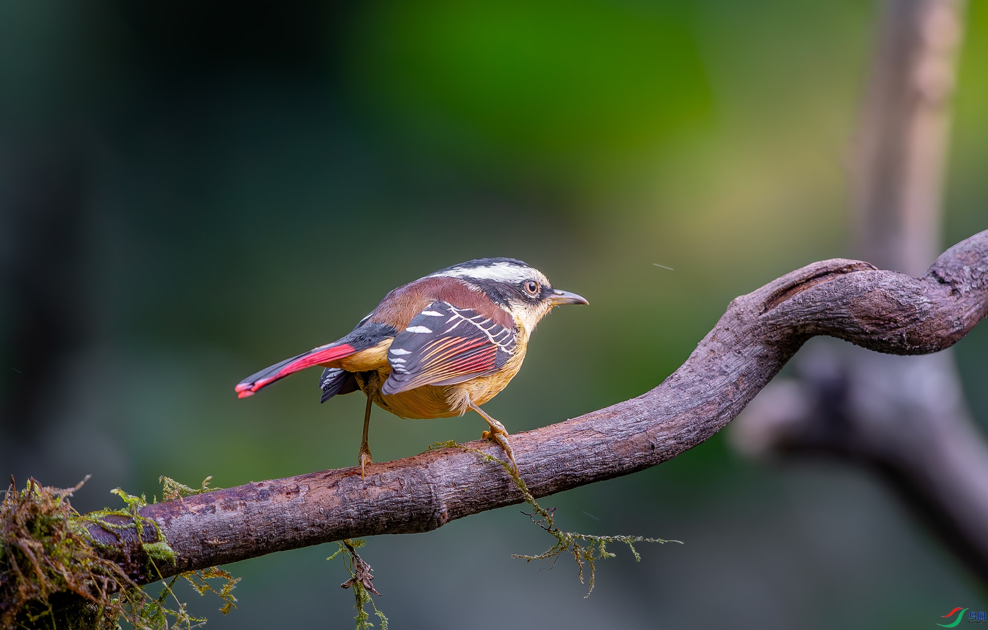 DSC_7920.jpg