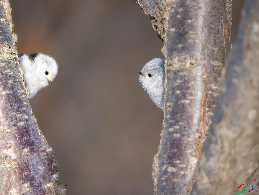 ���ơ�����βɽȸ ���� 2_����.jpg