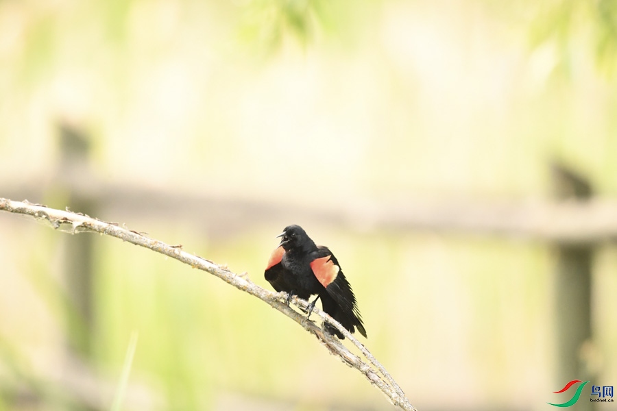 DSC_7779.jpg