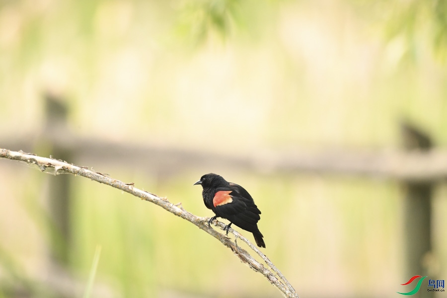DSC_7786.jpg