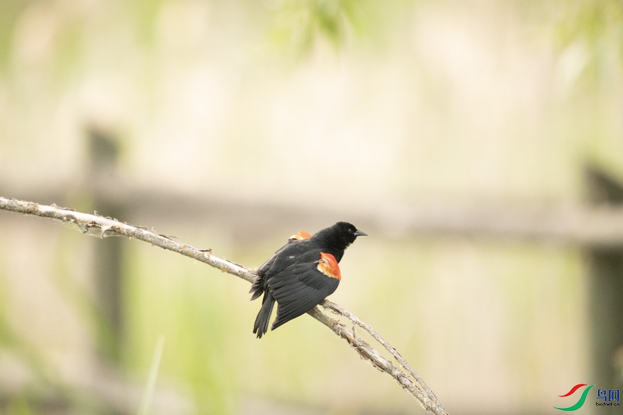 DSC_7761.jpg