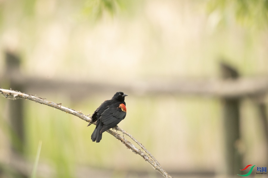DSC_7798.jpg
