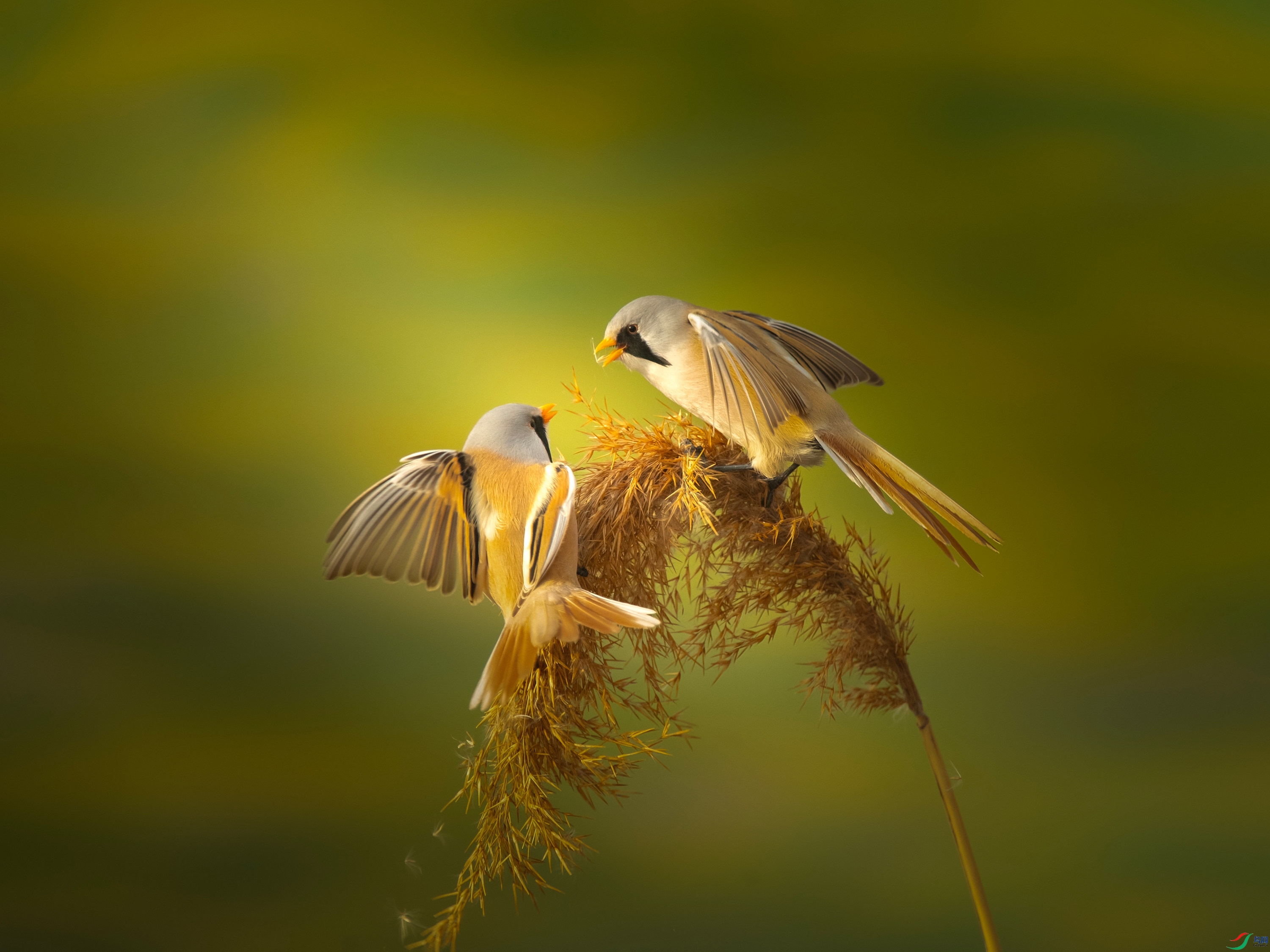 ����ȸ (1).jpg