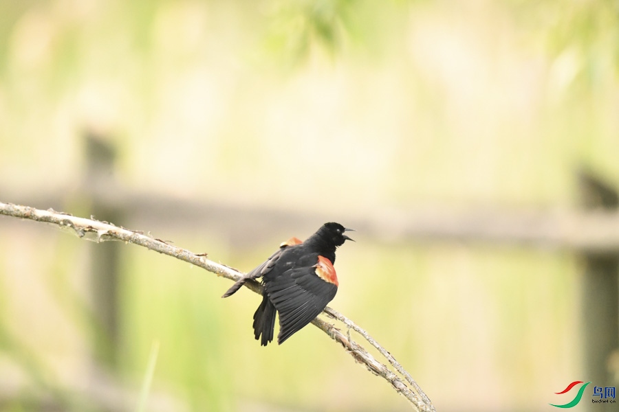 DSC_7762.jpg