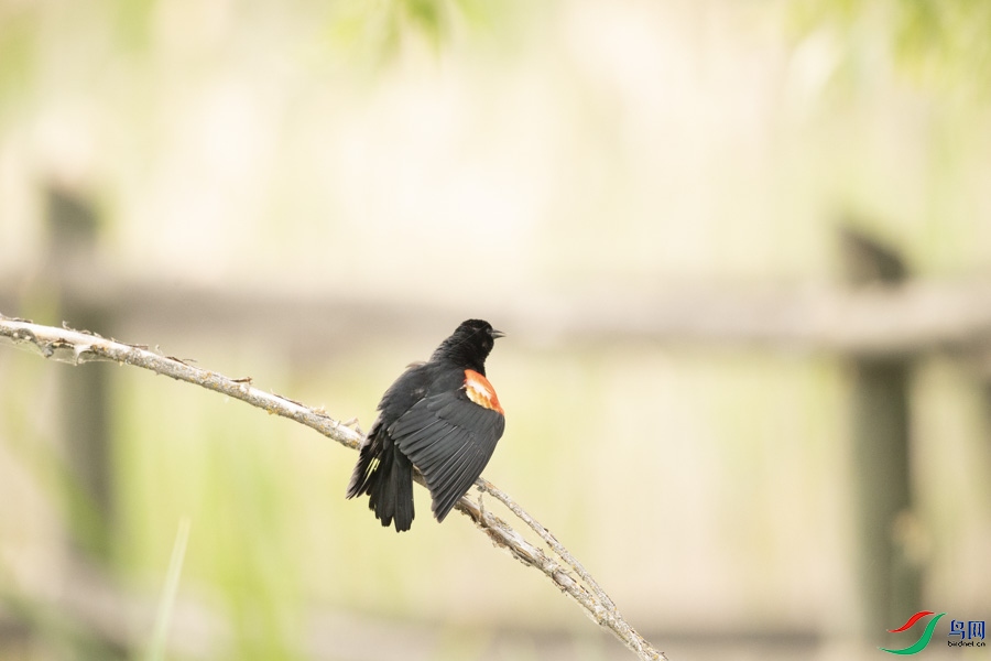 DSC_7805.jpg