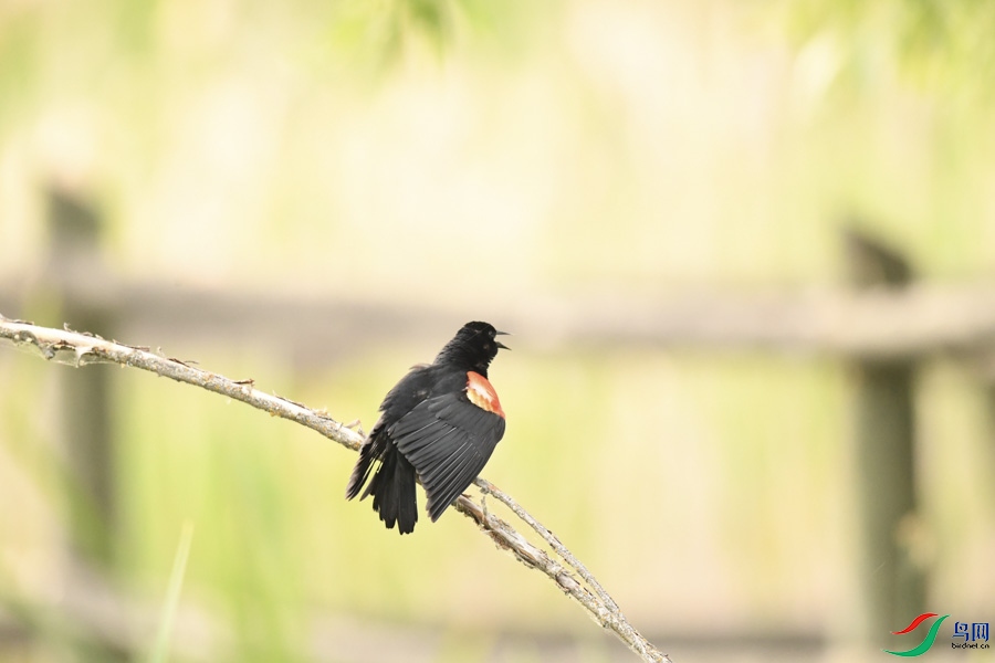 DSC_7807.jpg