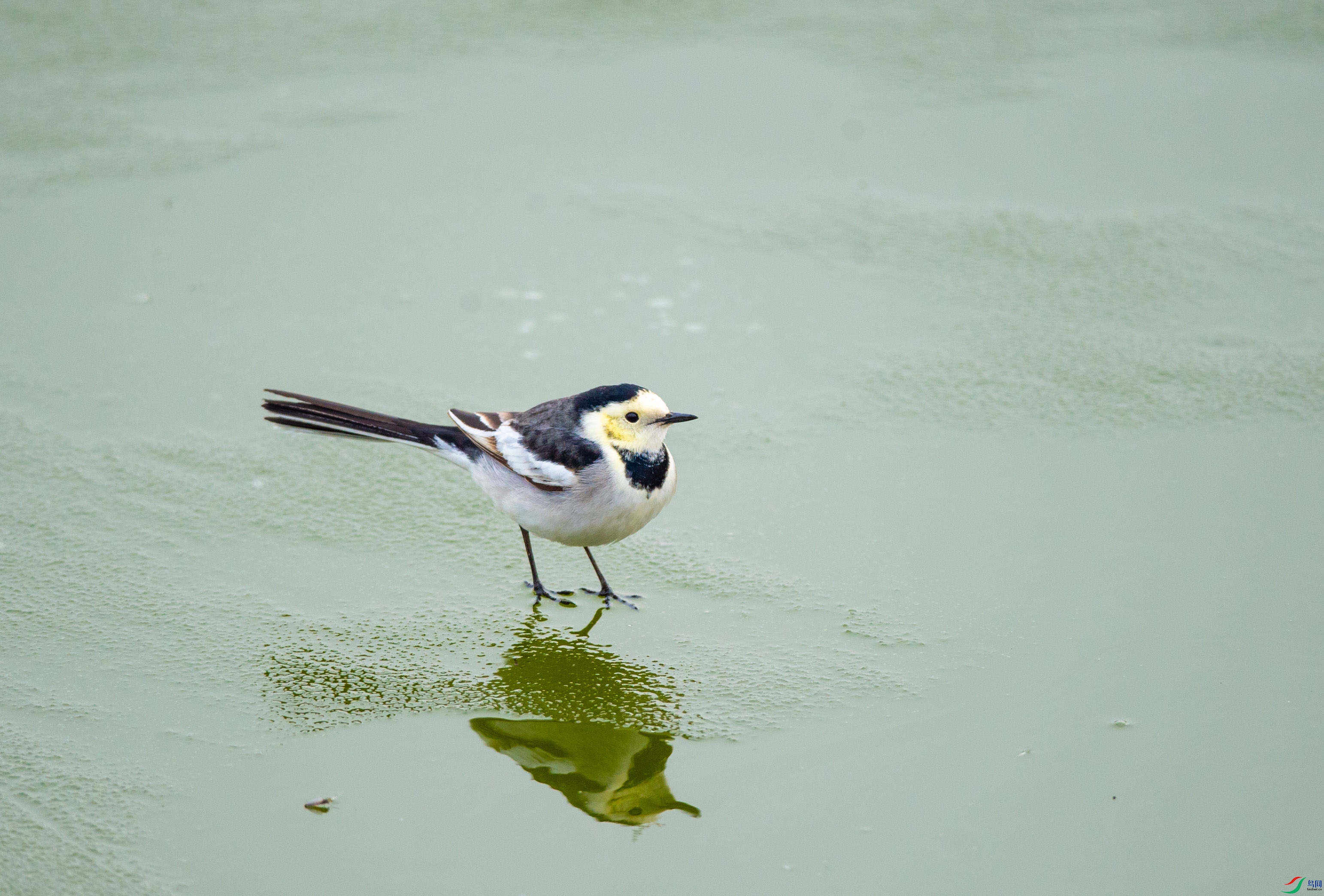 DSC_2069.jpg