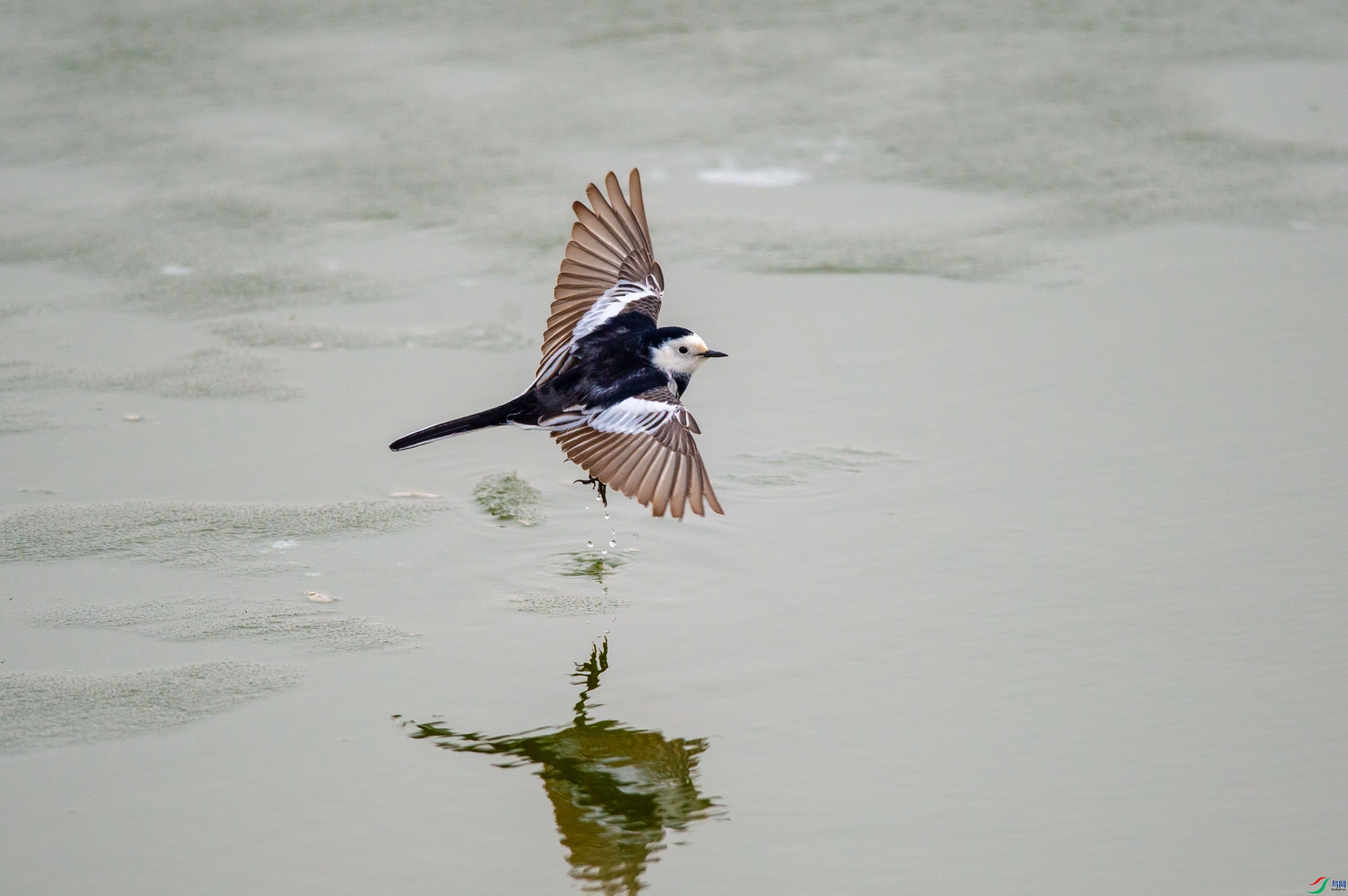 DSC_1973.jpg