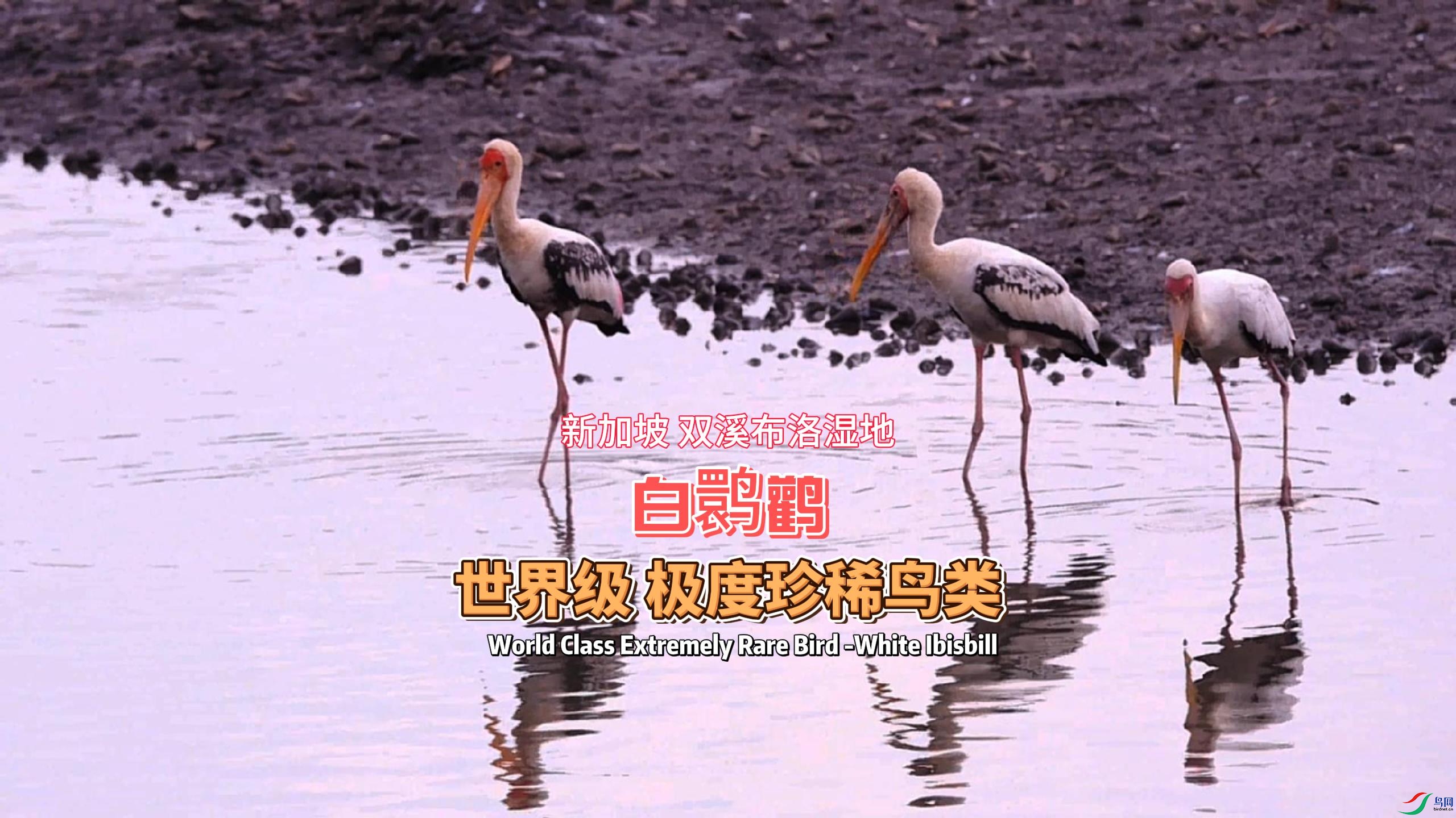 �¼��� ˫Ϫ����ʪ�� ���缶������ϡ����-���q��-����.jpg