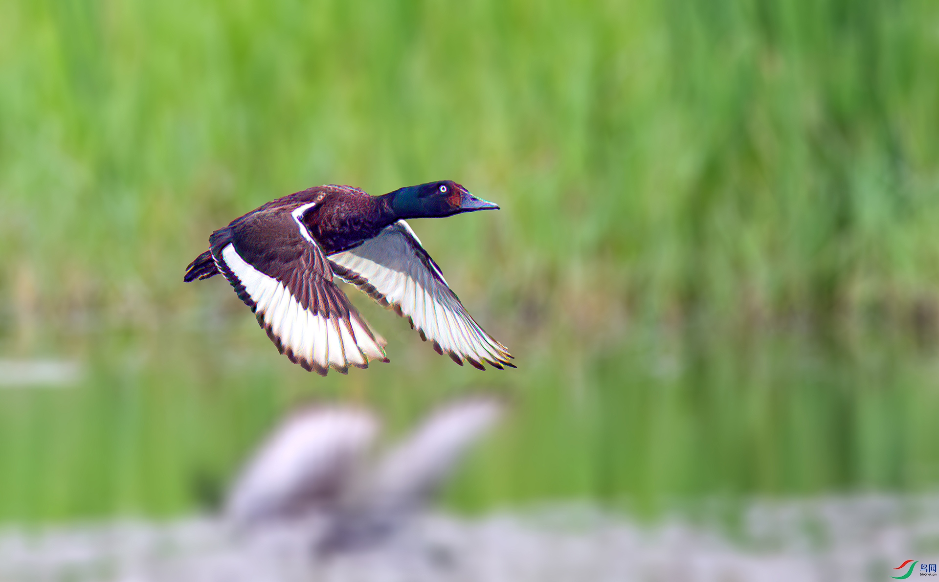 _S7I5021 ����-Sh-----1 .jpg