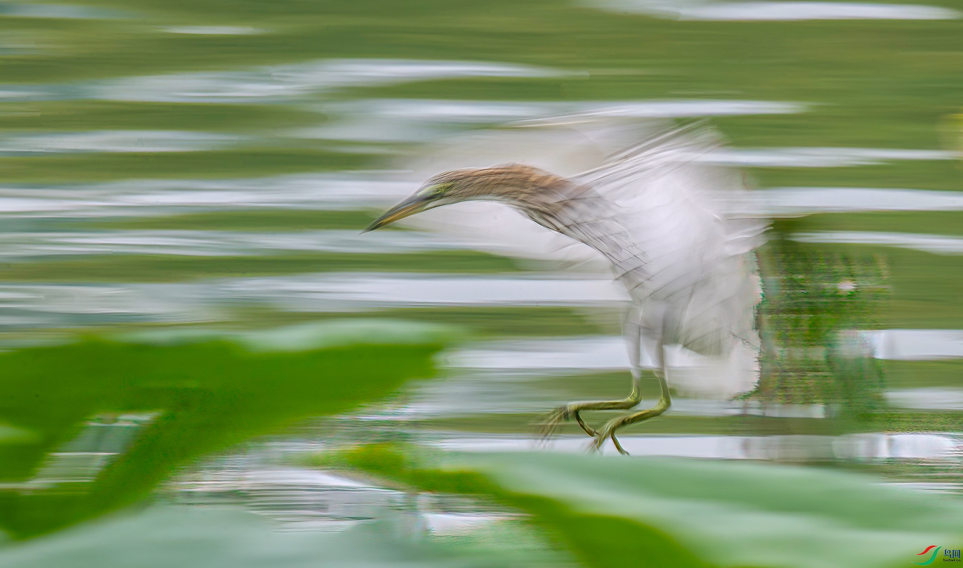 _S7I6493 ����-Sh----22  .jpg