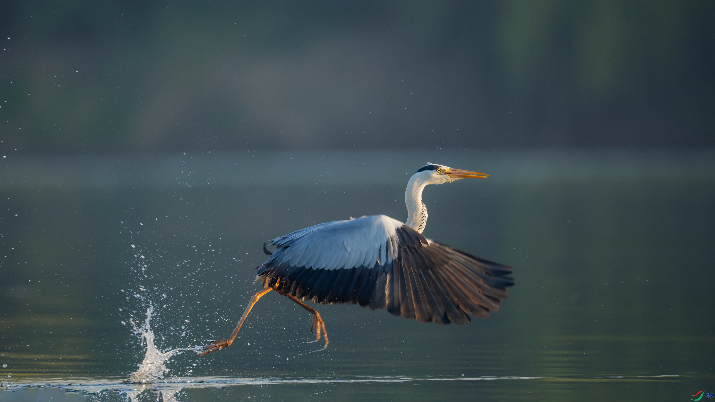DSC_7407.jpg