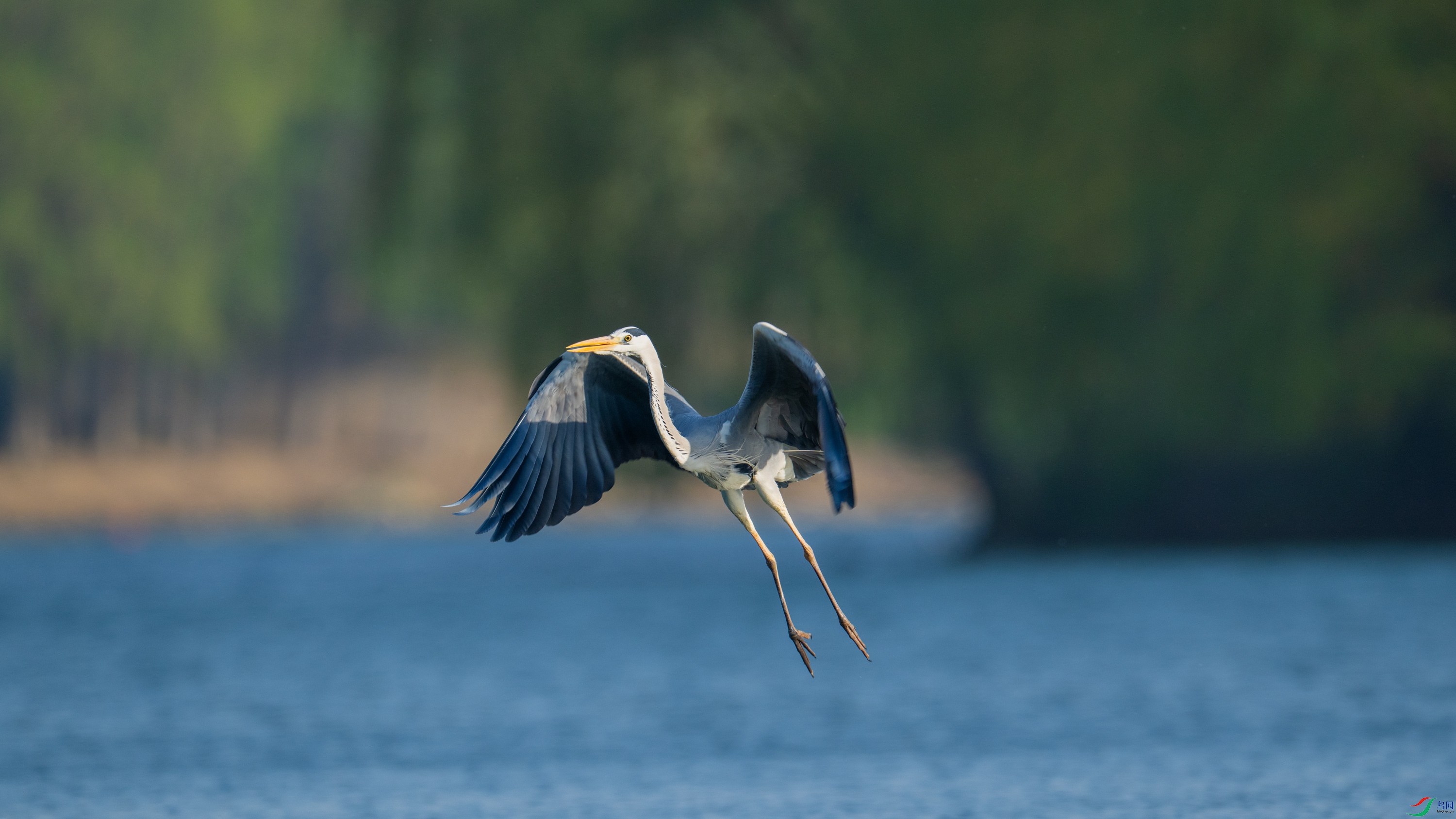 DSC_6620.jpg