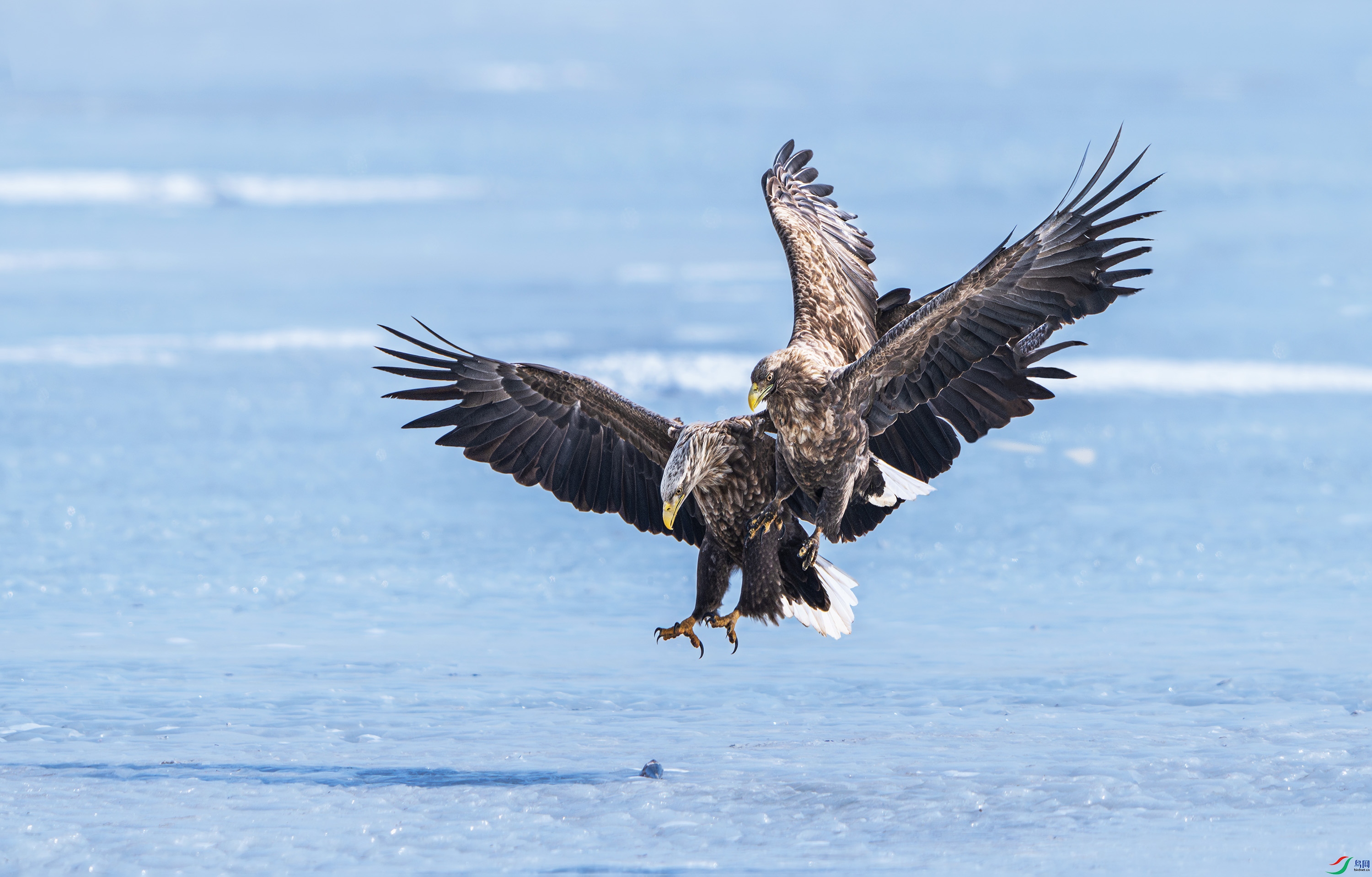 DSC_7500.jpg