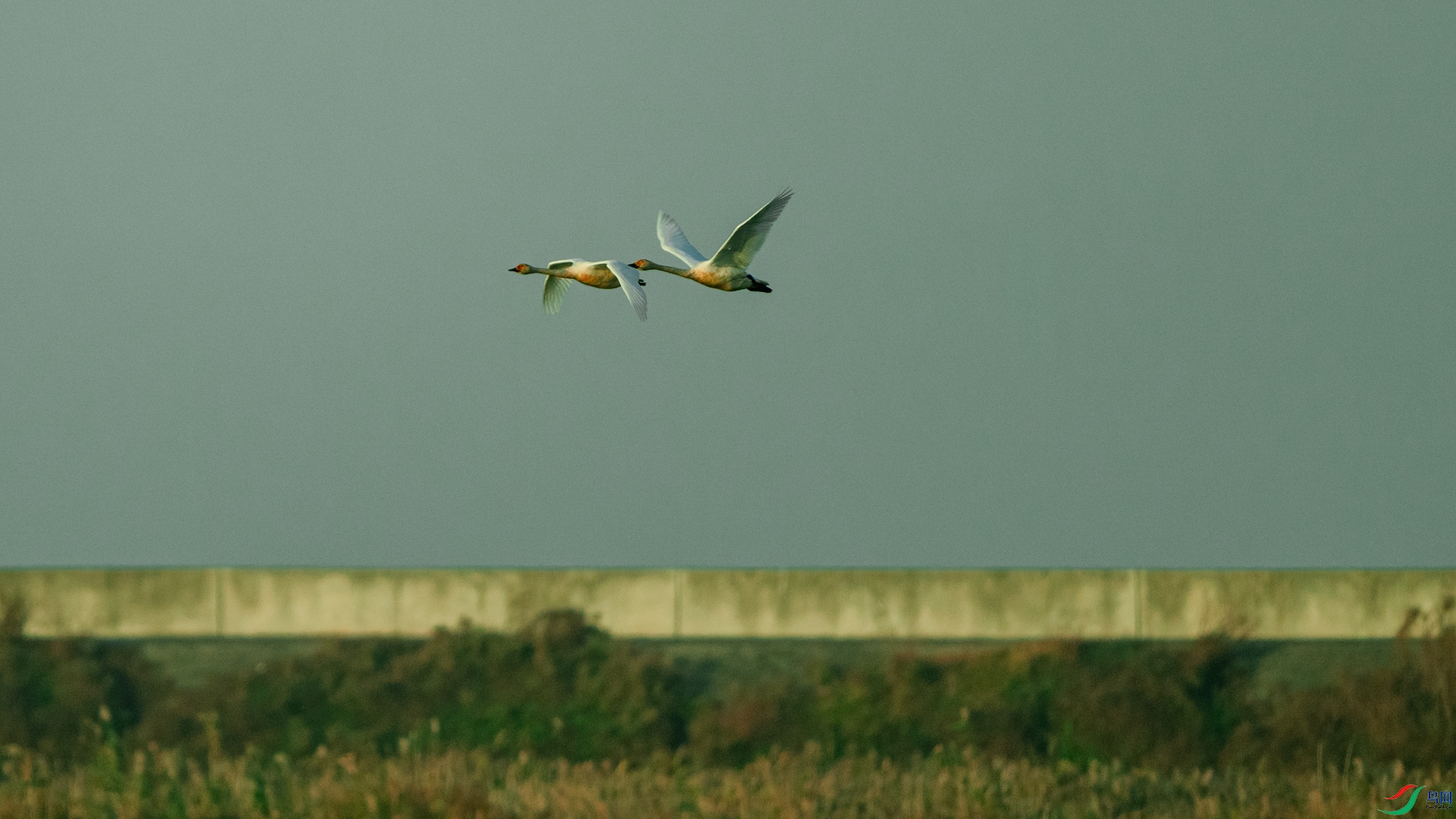 DSC_9362.jpg