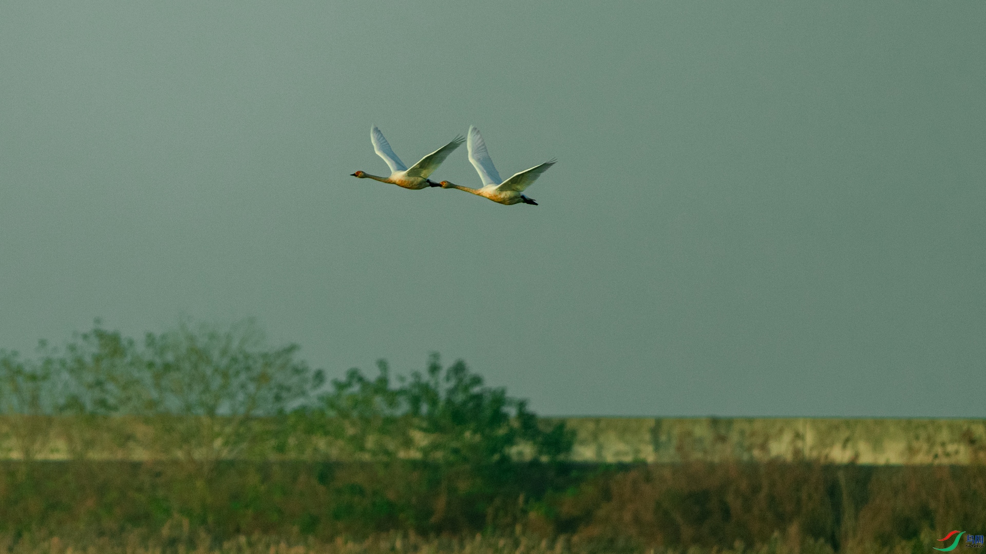 DSC_9368.jpg