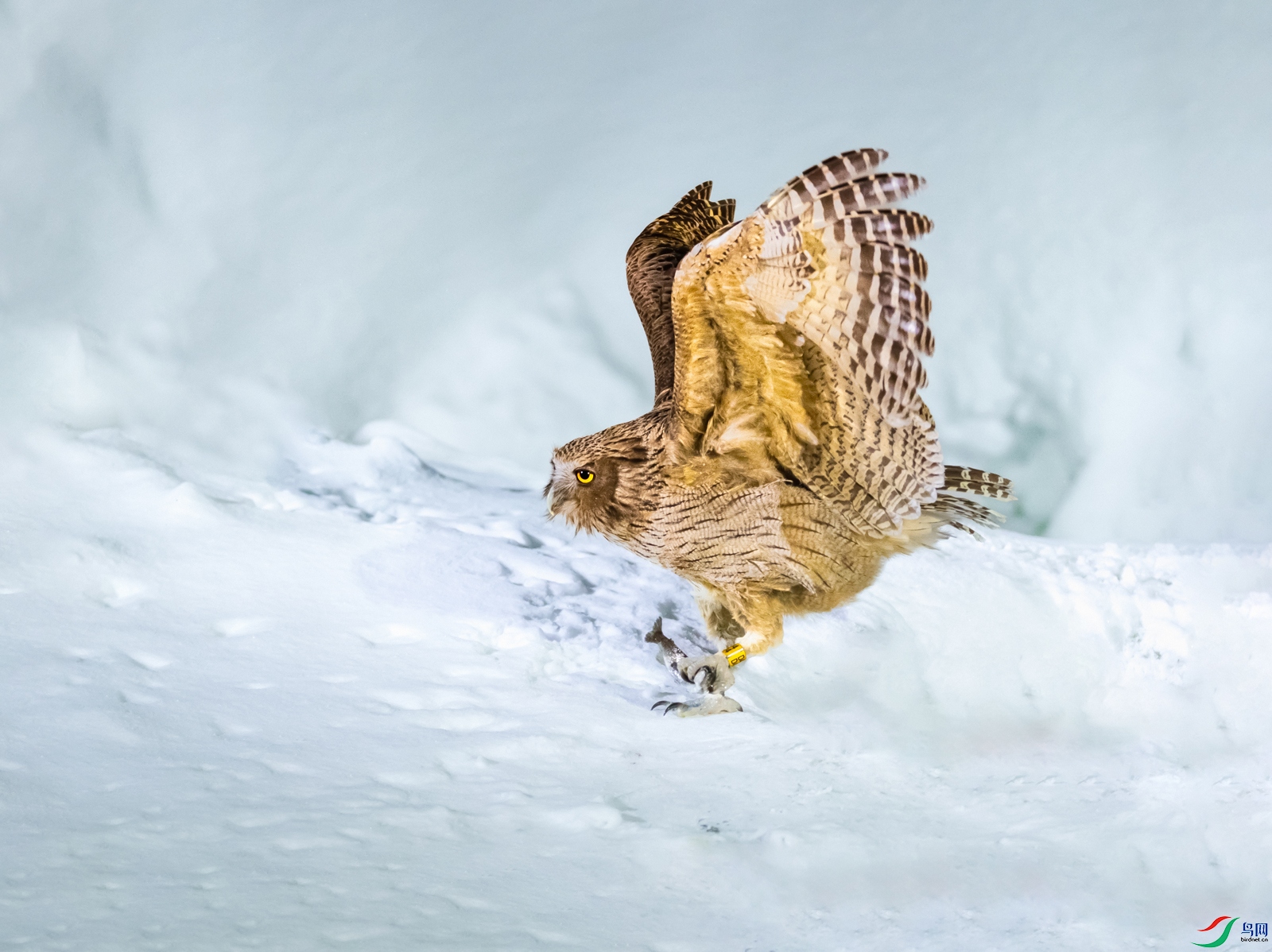 ë�����^----��̶����