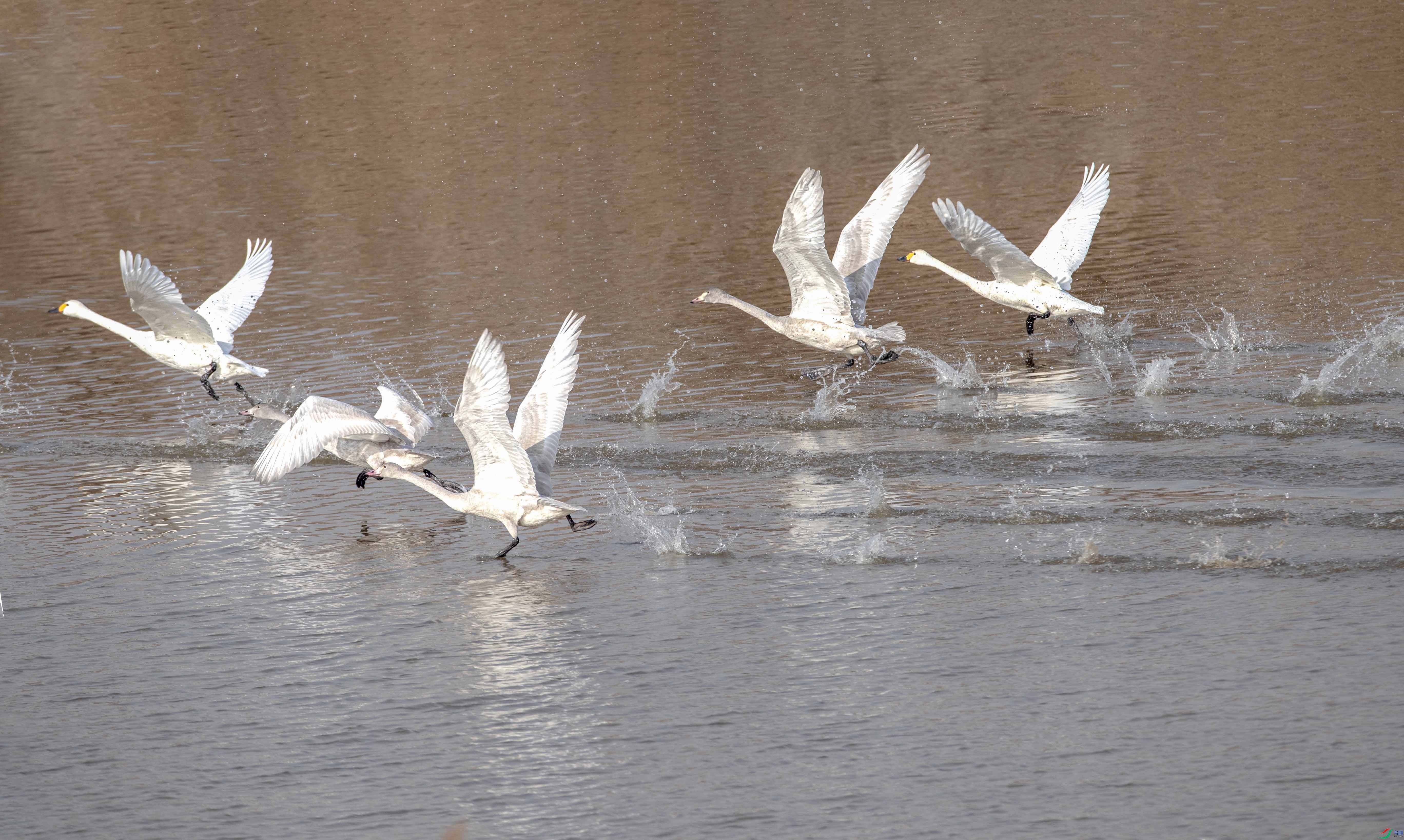 A79I9872 ����.jpg