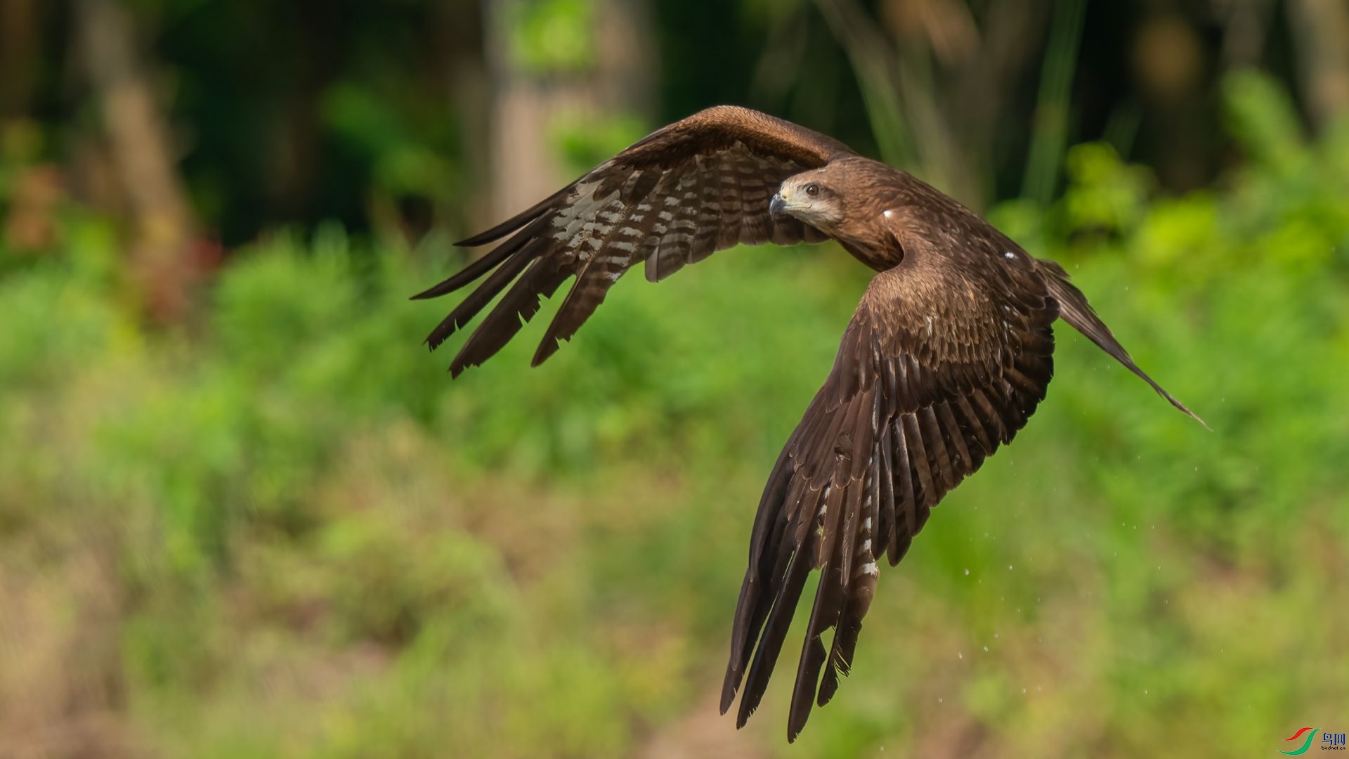 DSC06743 ����.jpg