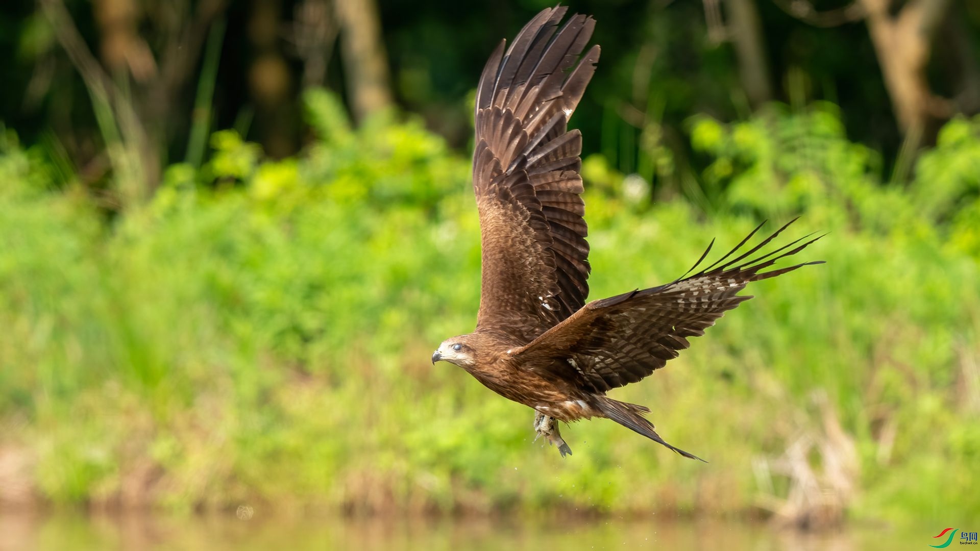 DSC06740 ����.jpg